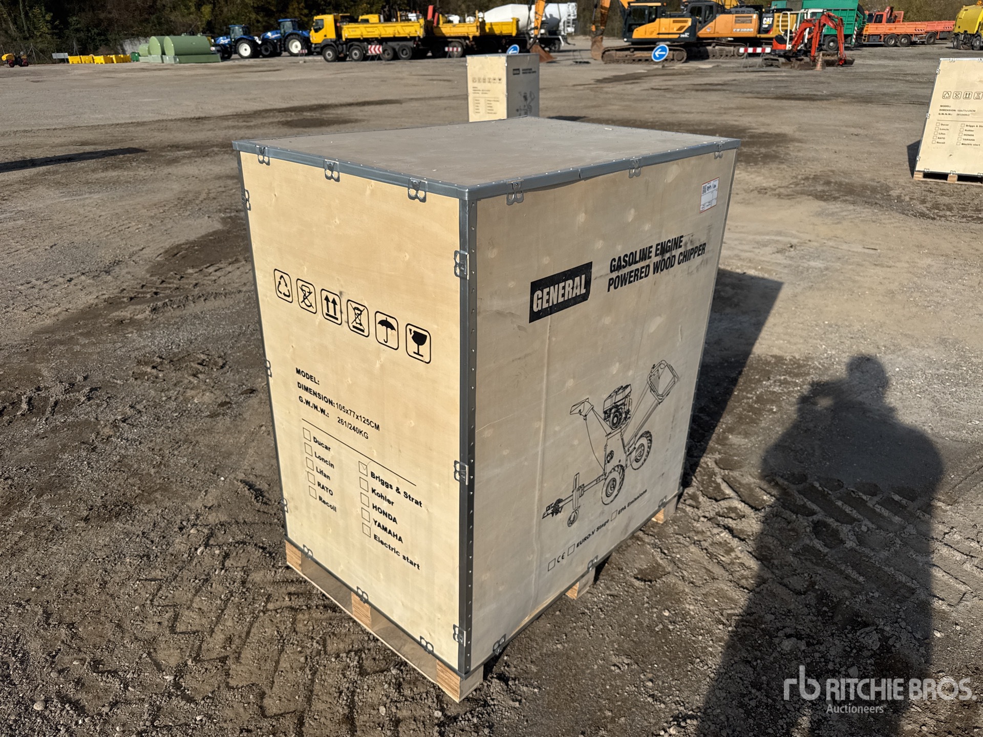 General Appearance with 