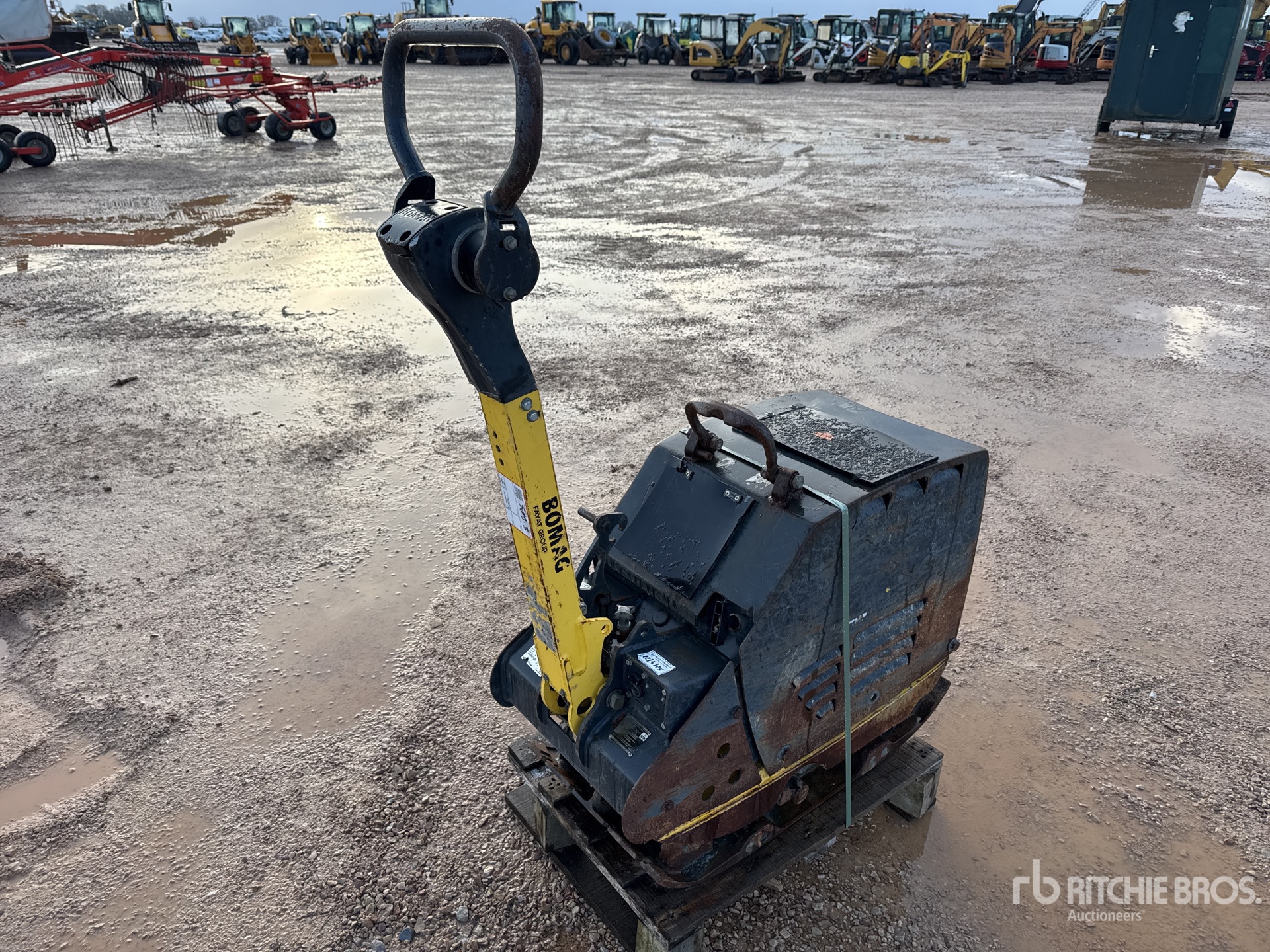 General Appearance with 