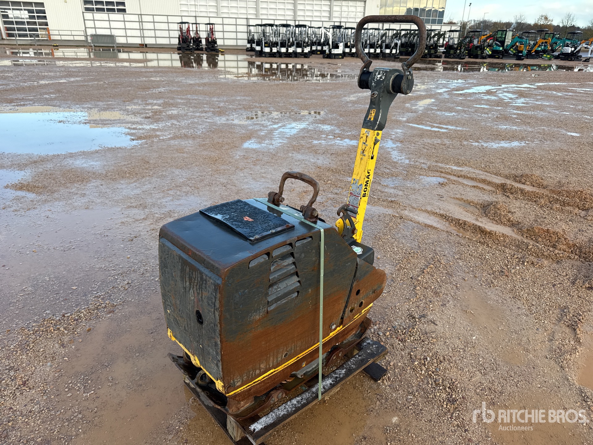 General Appearance with 