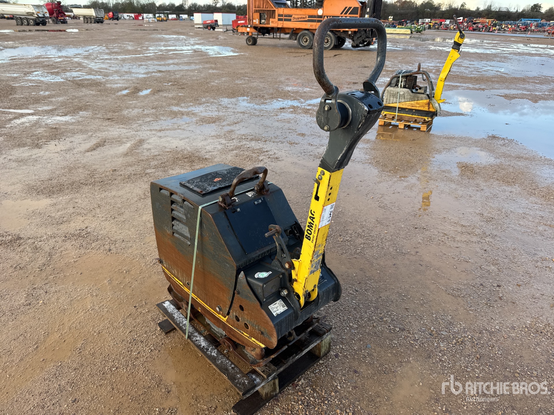 General Appearance with 