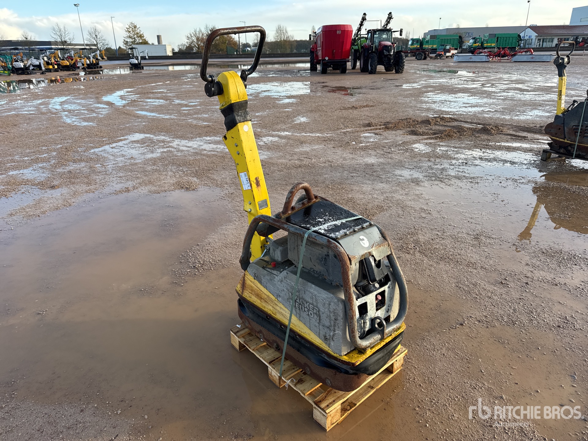 General Appearance with 