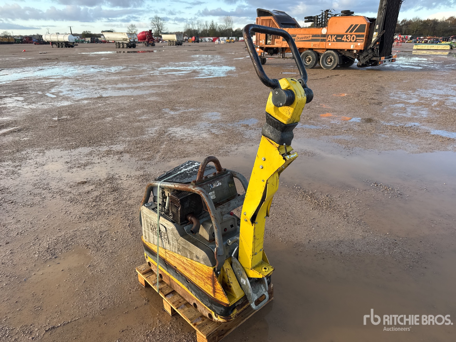 General Appearance with 