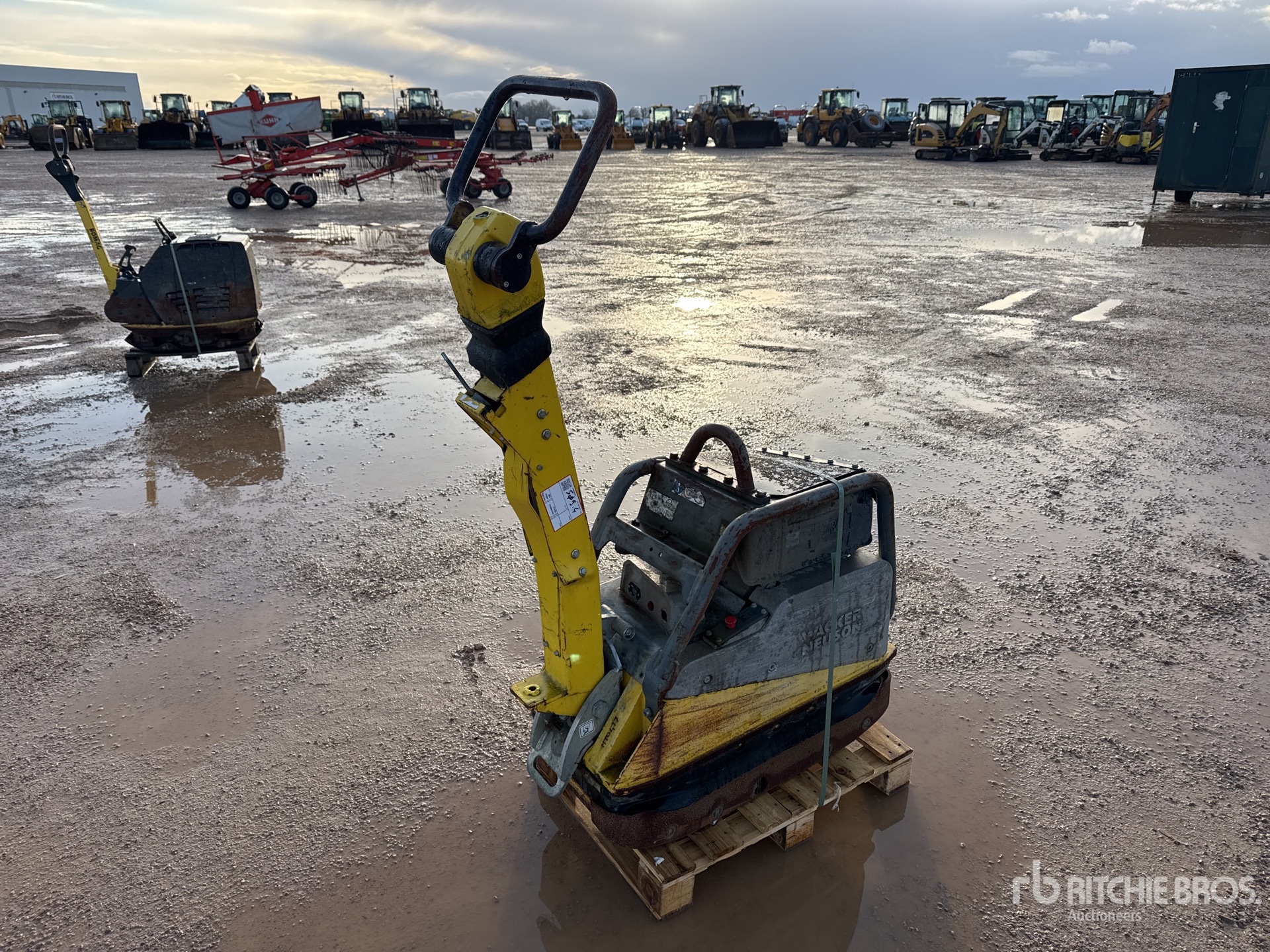 General Appearance with 