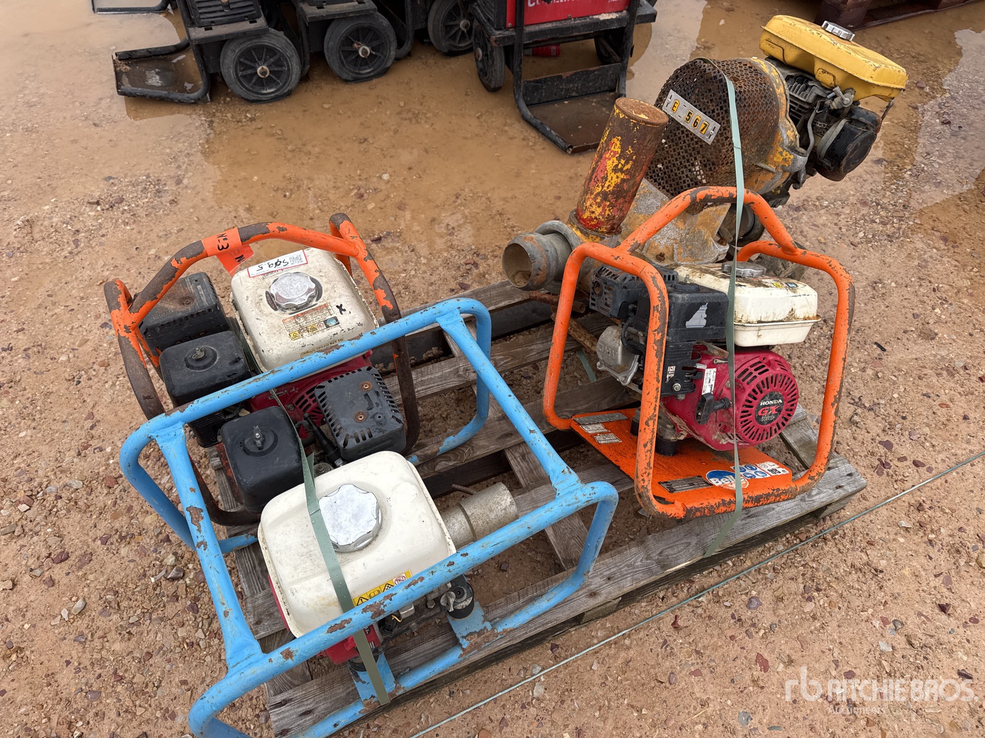 General Appearance with