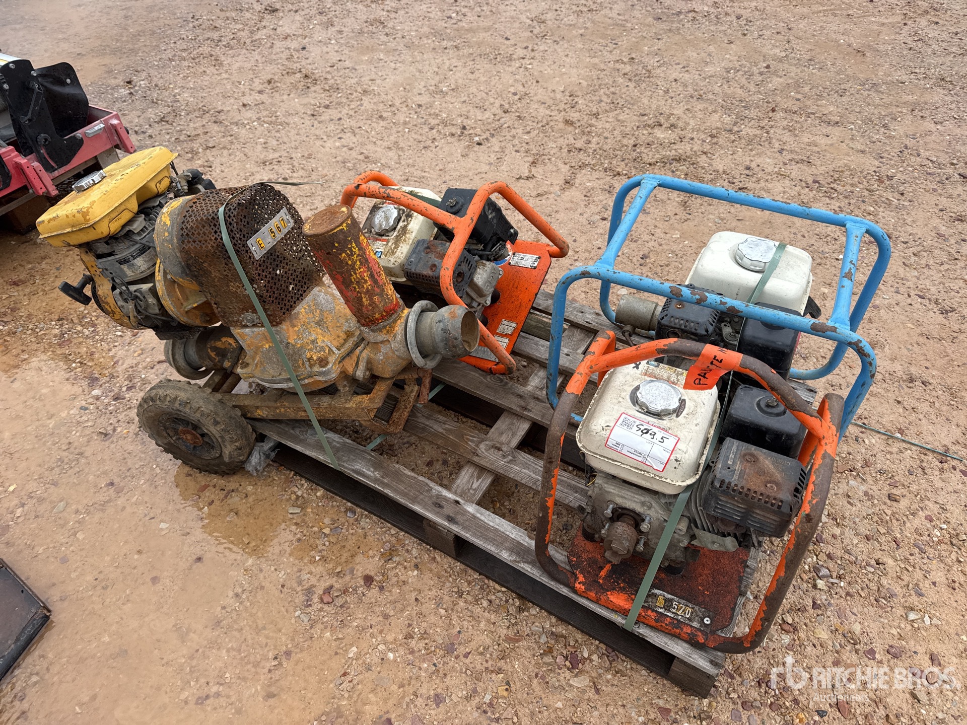 General Appearance with