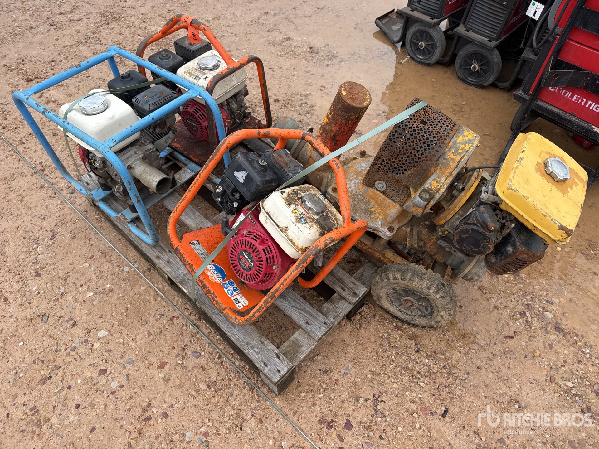 General Appearance with