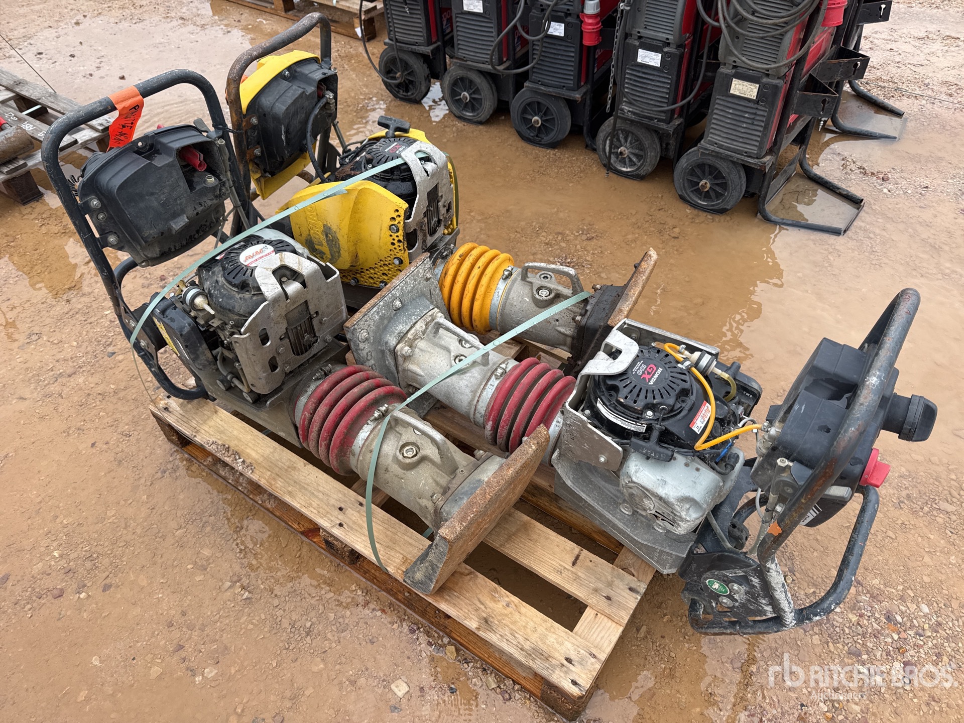 General Appearance with 