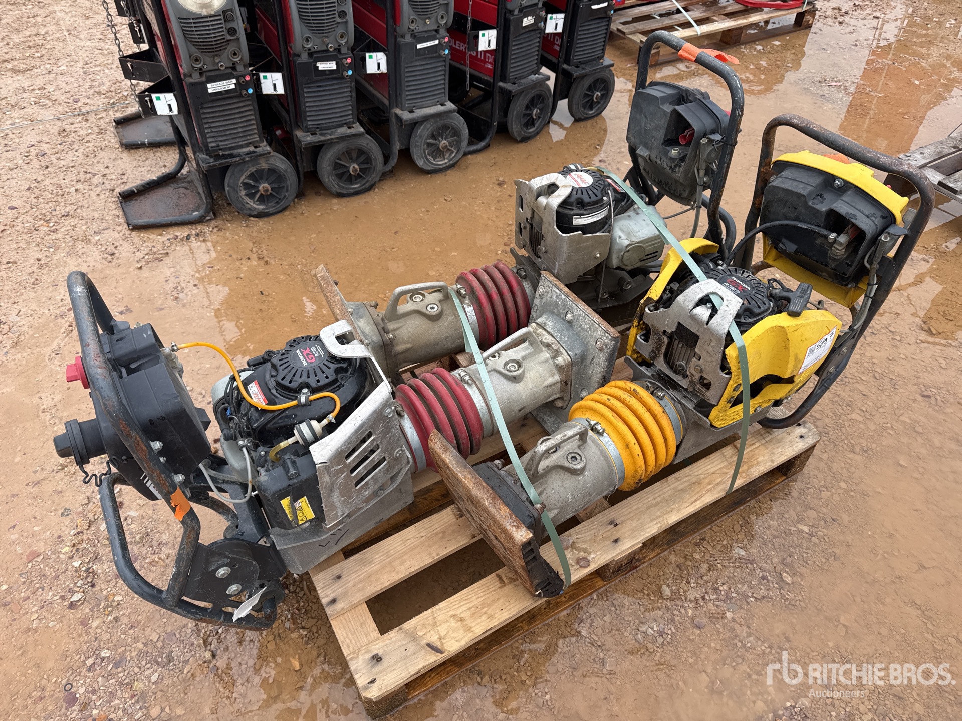 General Appearance with 