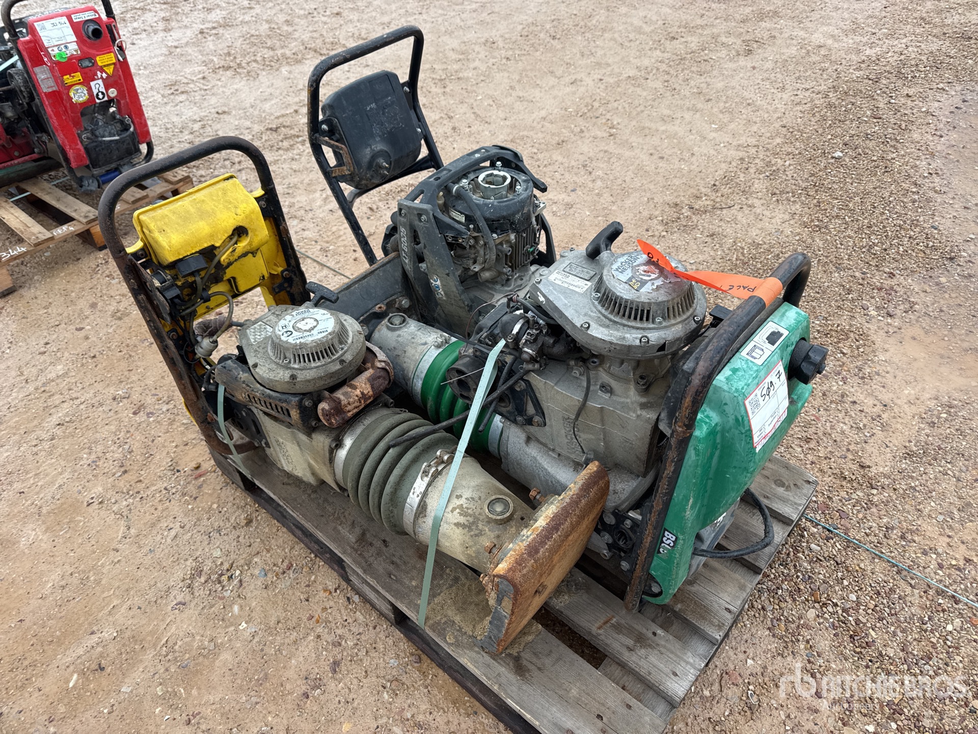 General Appearance with 