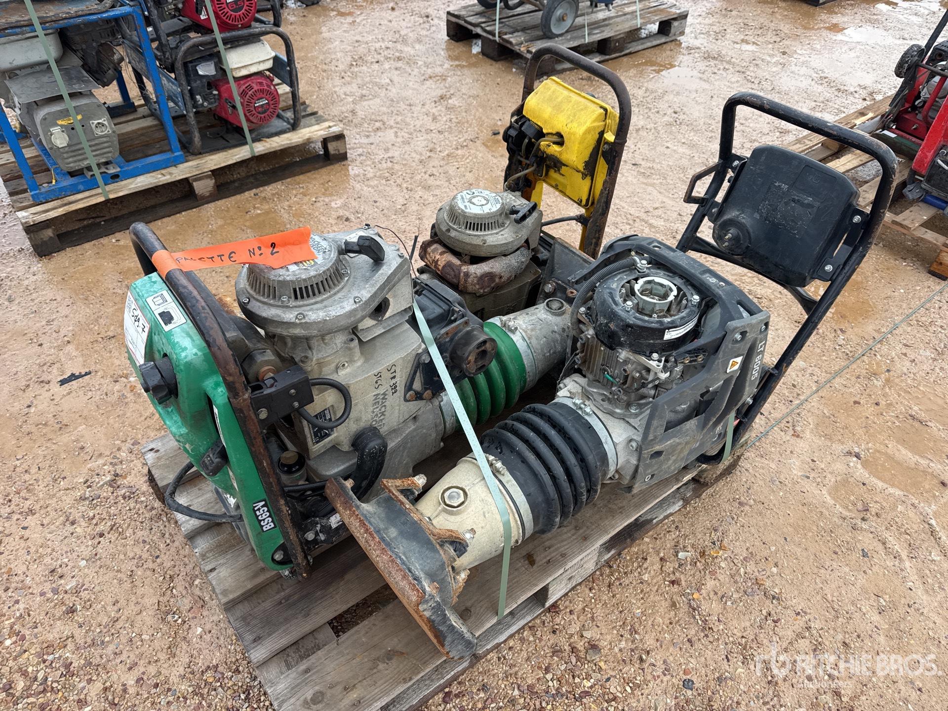 General Appearance with 