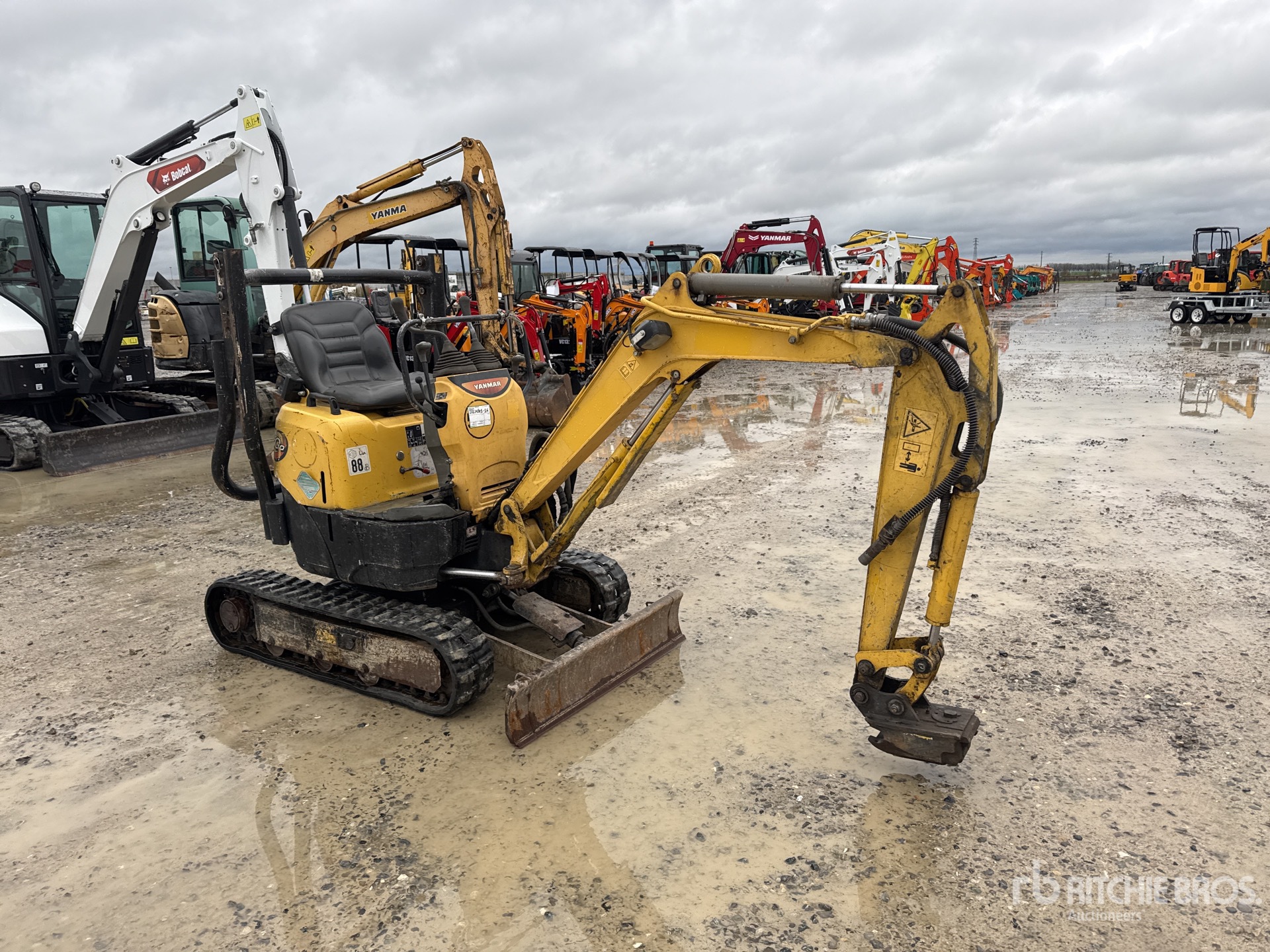 General Appearance with