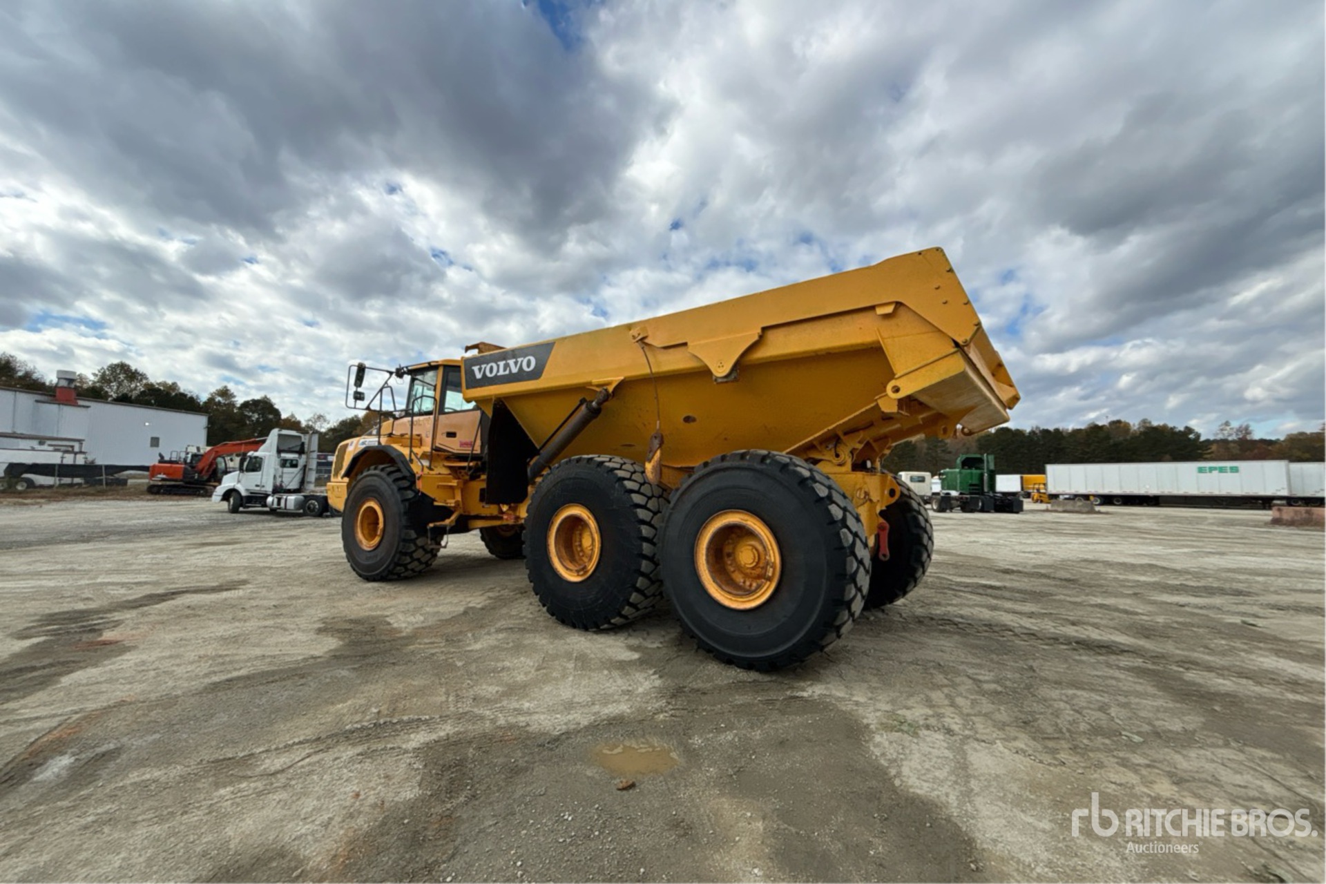 General Appearance with Foto, angolo posteriore sinistro