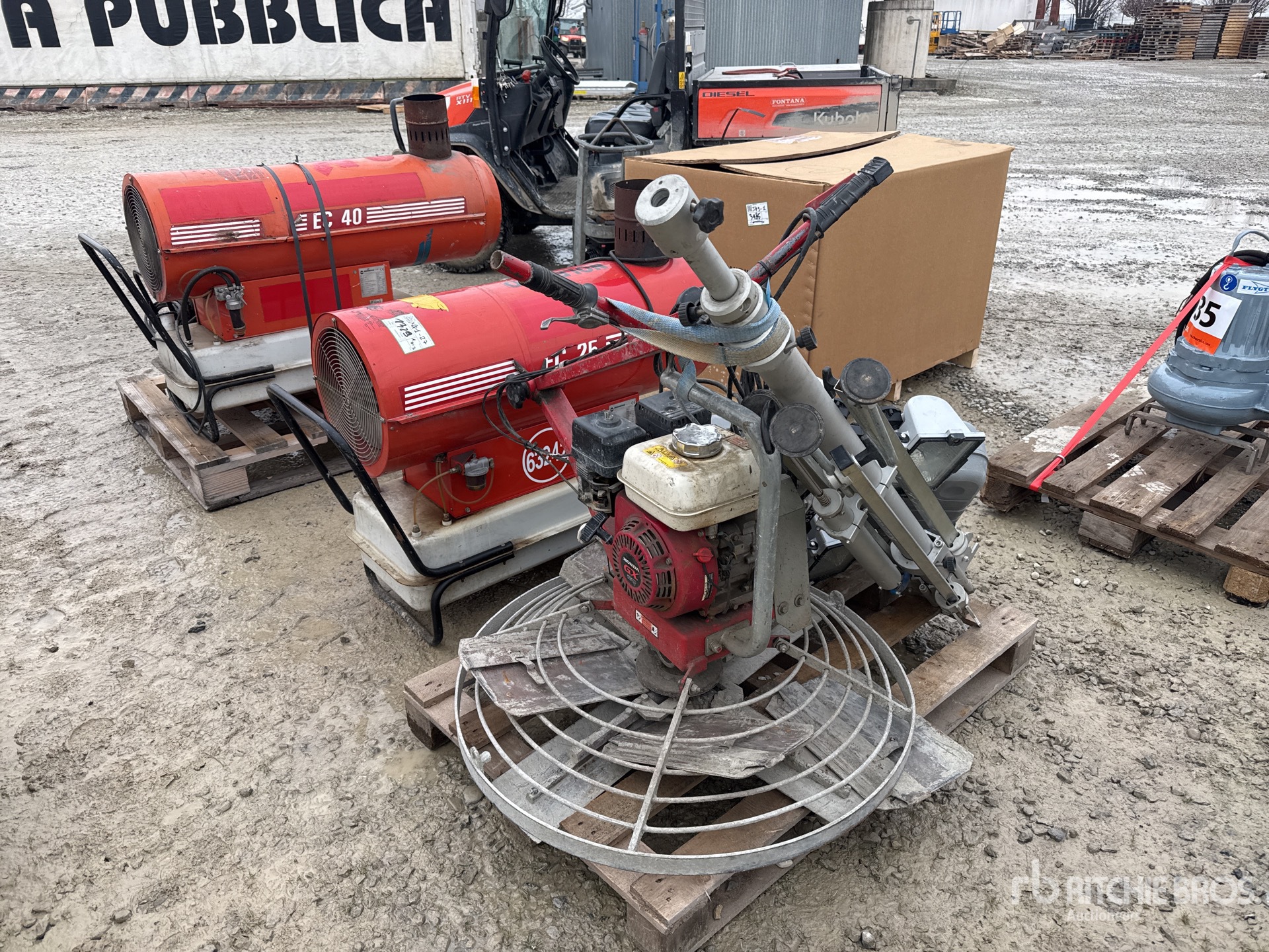 General Appearance with 