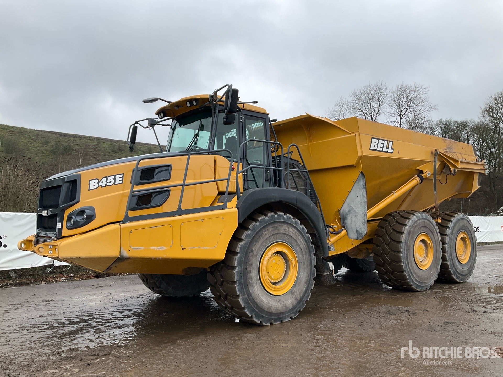 General Appearance with Picture, Left Front Corner