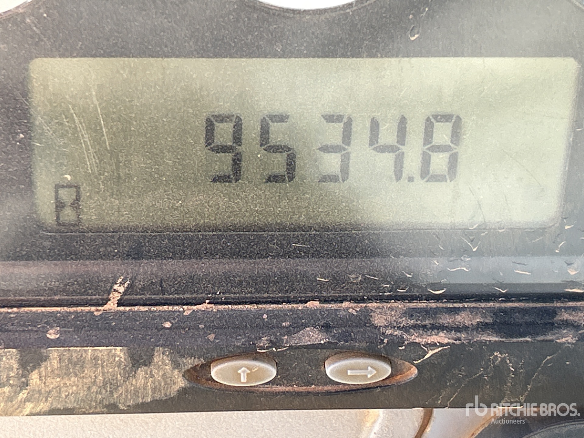 General Appearance with Laufleistung