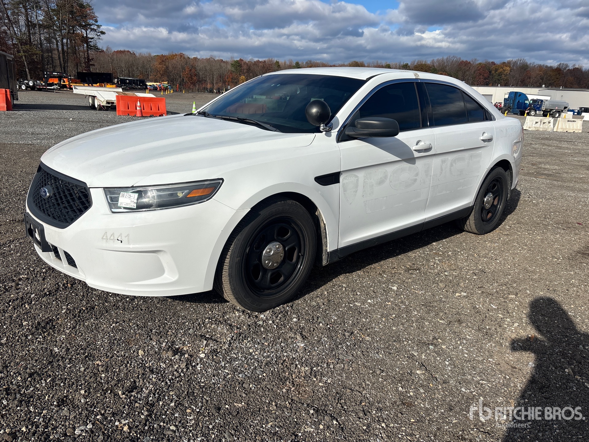 General Appearance with Spin