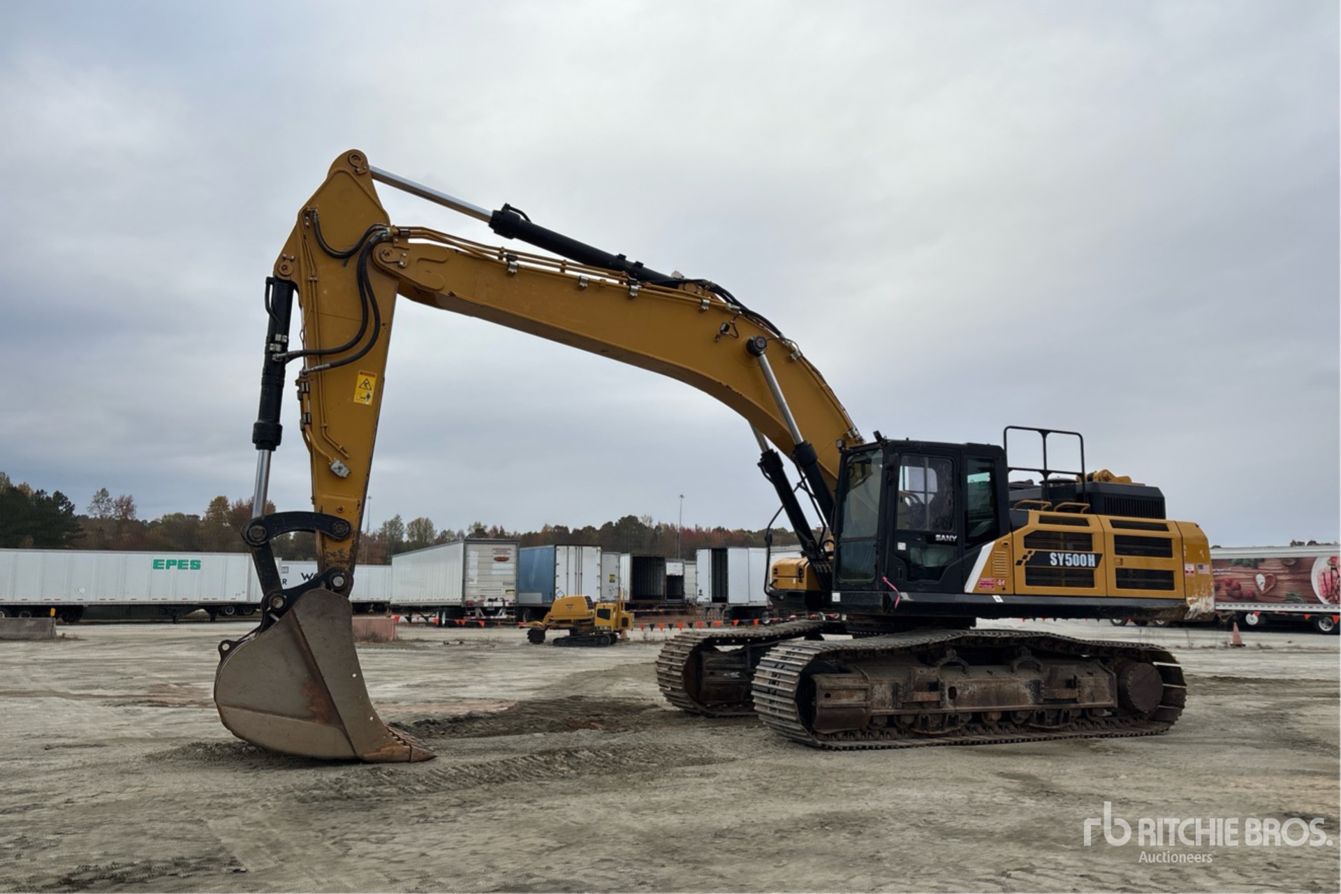 General Appearance with Spin