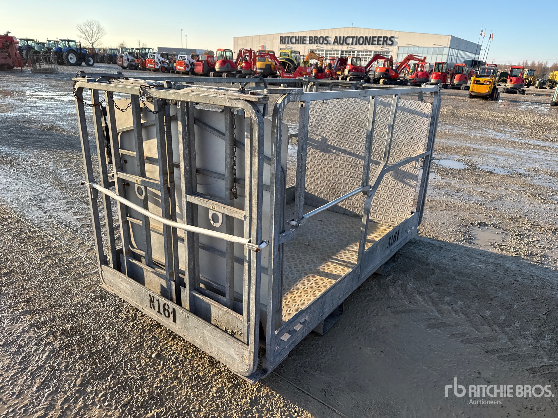 General Appearance with 