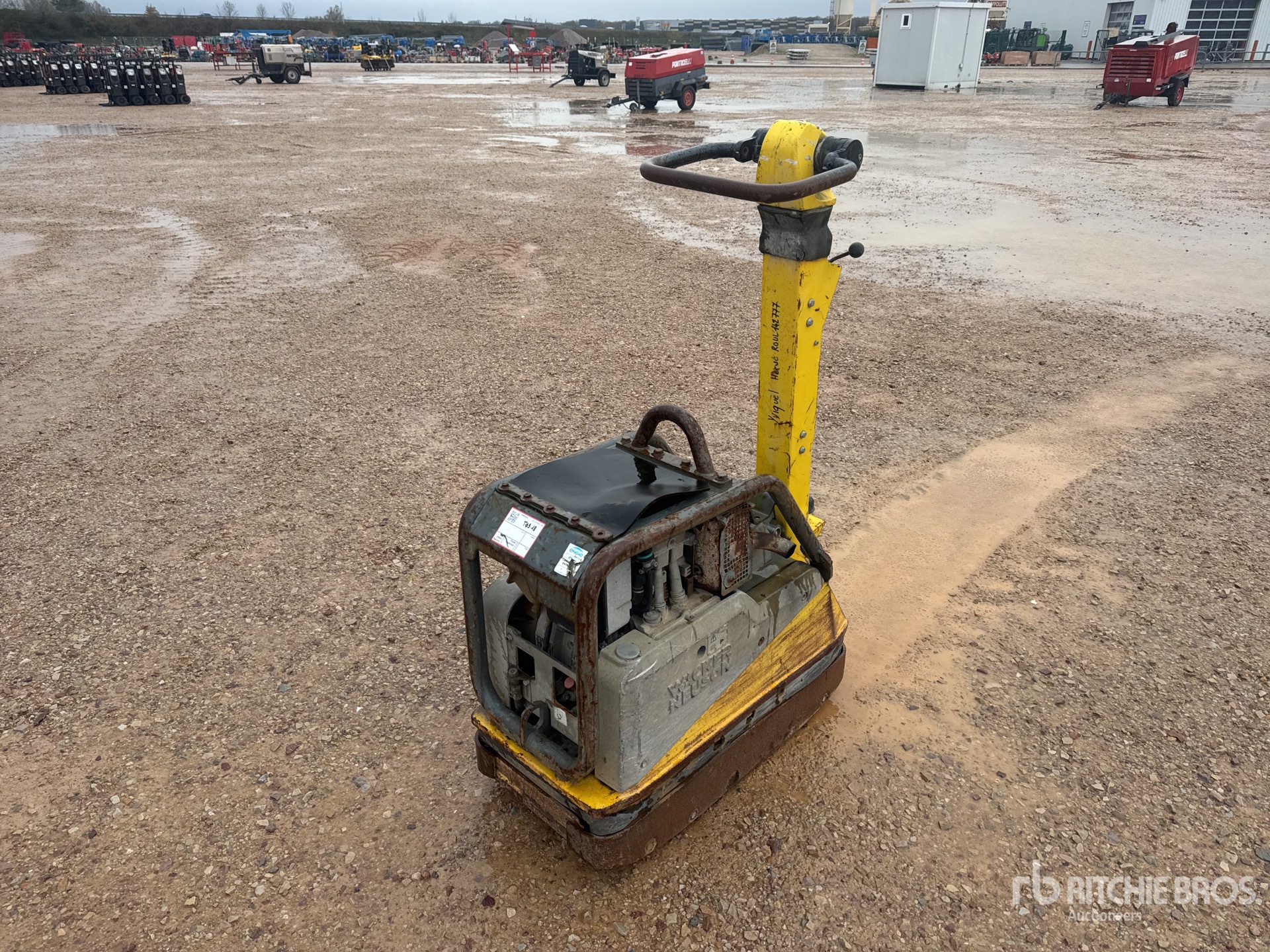 General Appearance with 