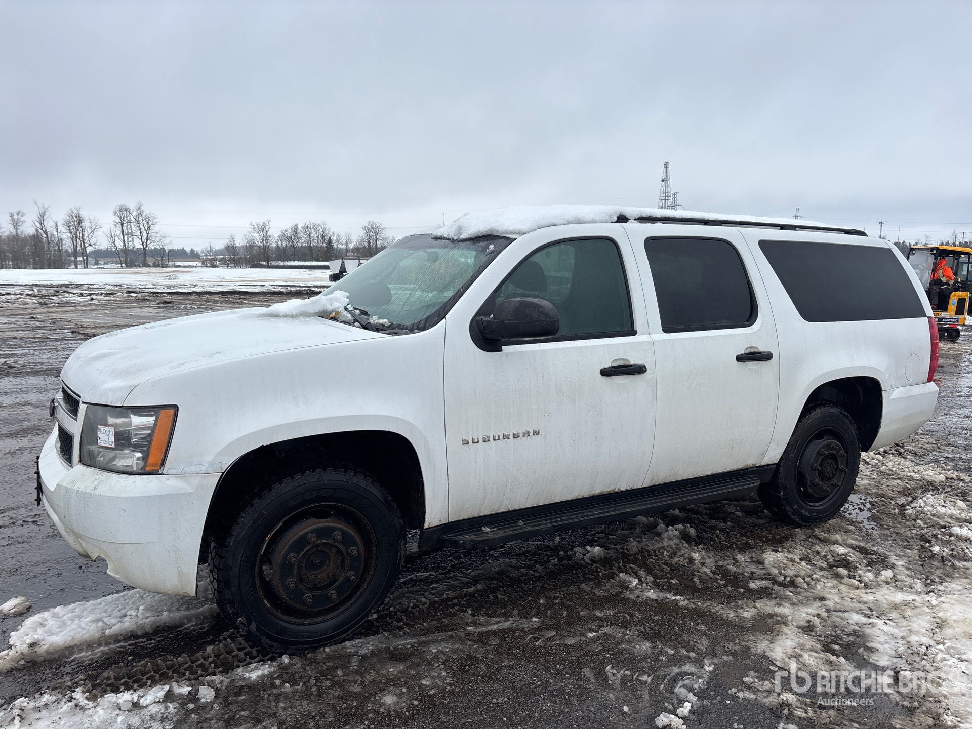 General Appearance with Spin