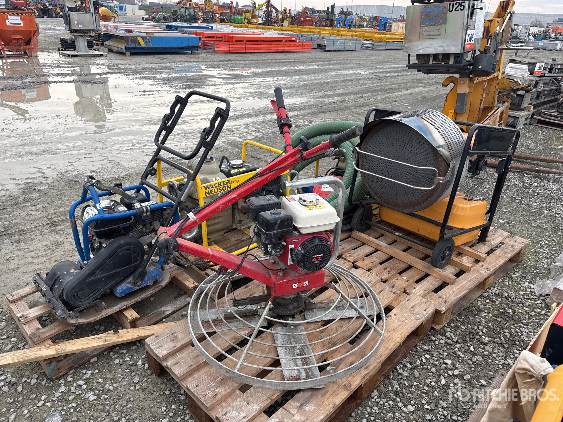 General Appearance with 