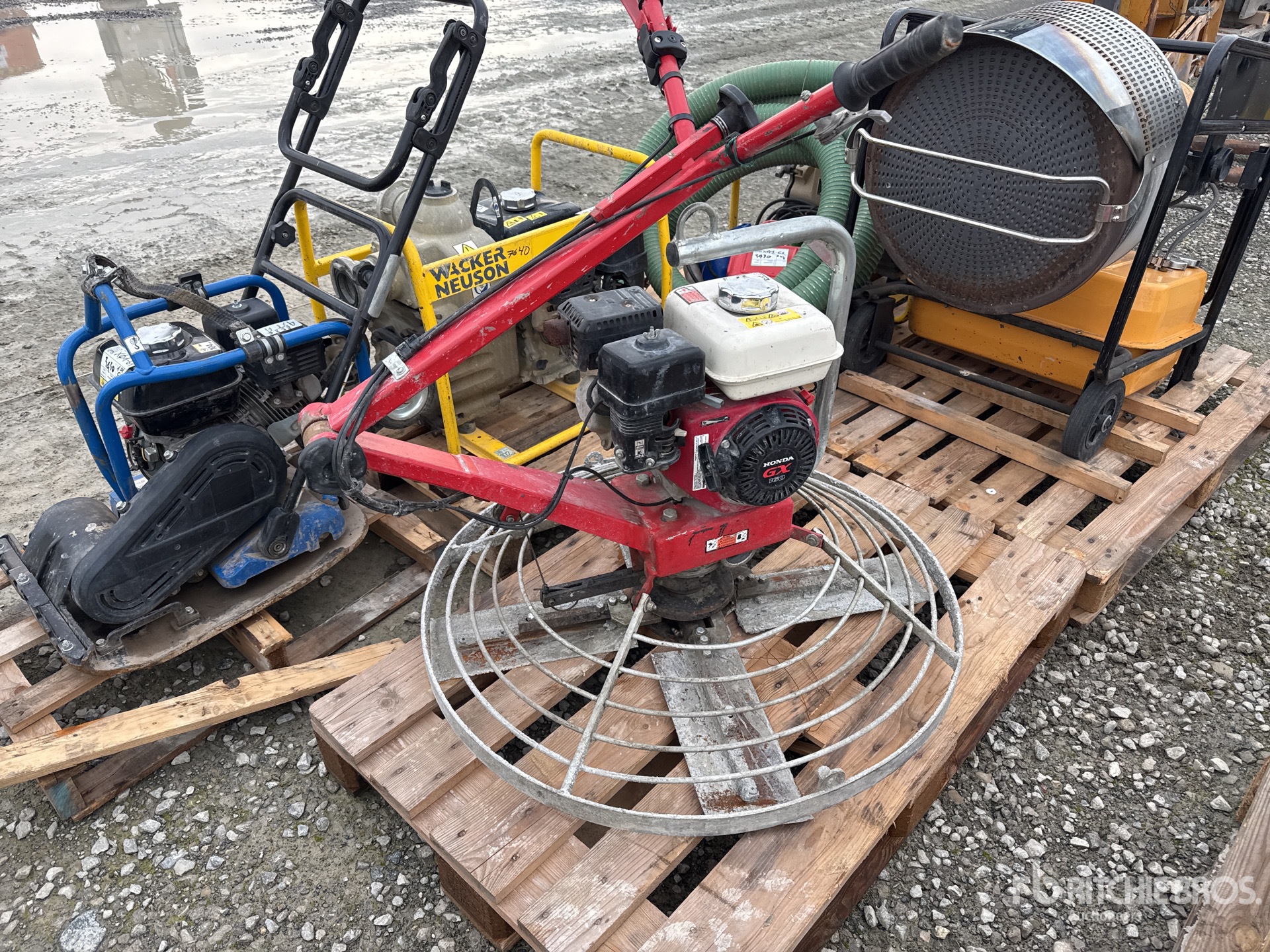 General Appearance with 