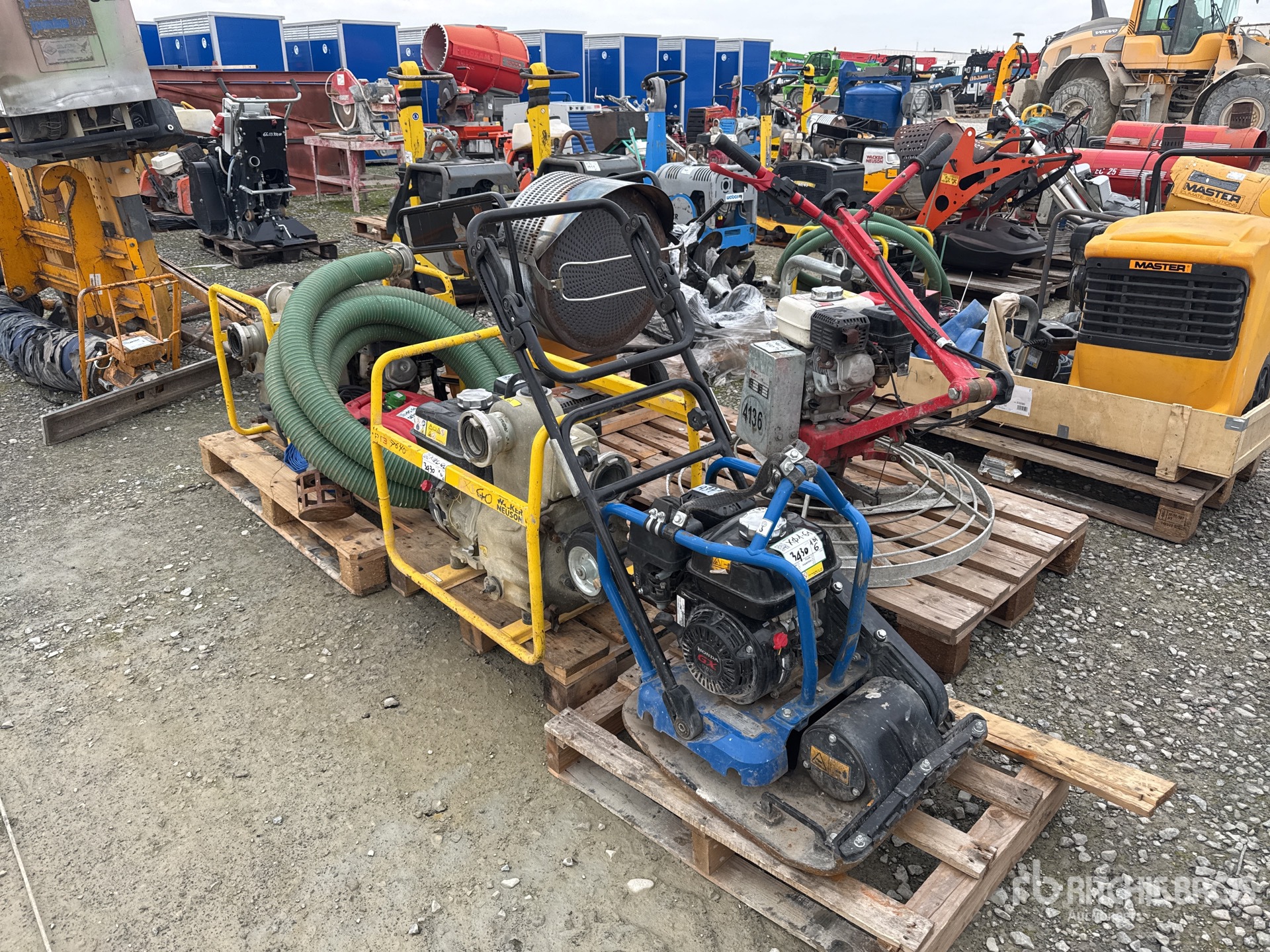 General Appearance with 