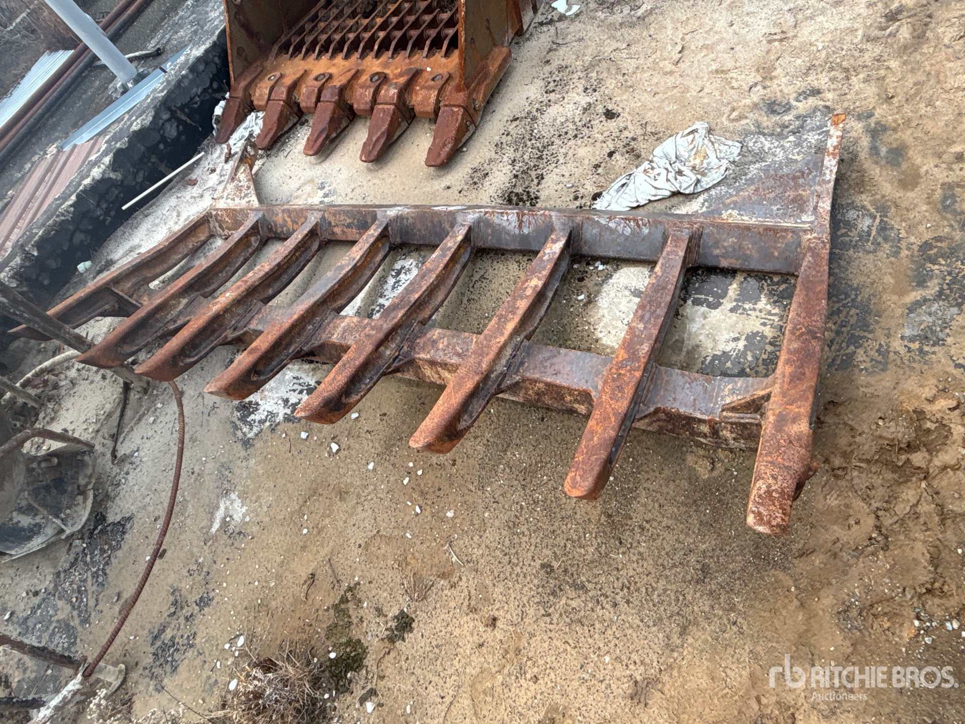 General Appearance with Zdjęcie, lewy górny róg