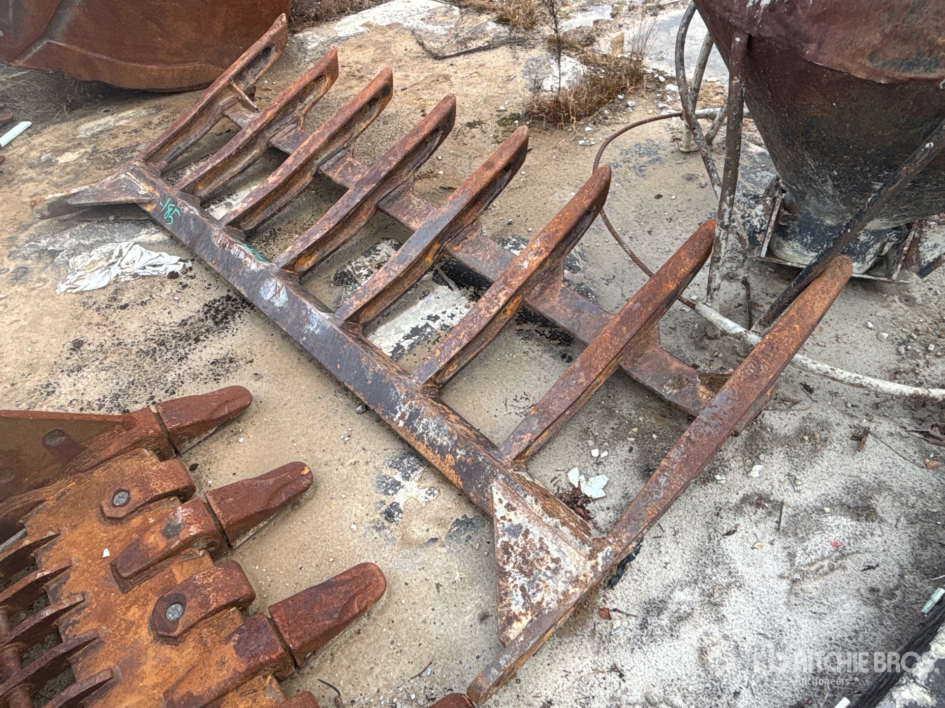 General Appearance with Zdjęcie, prawy dolny róg