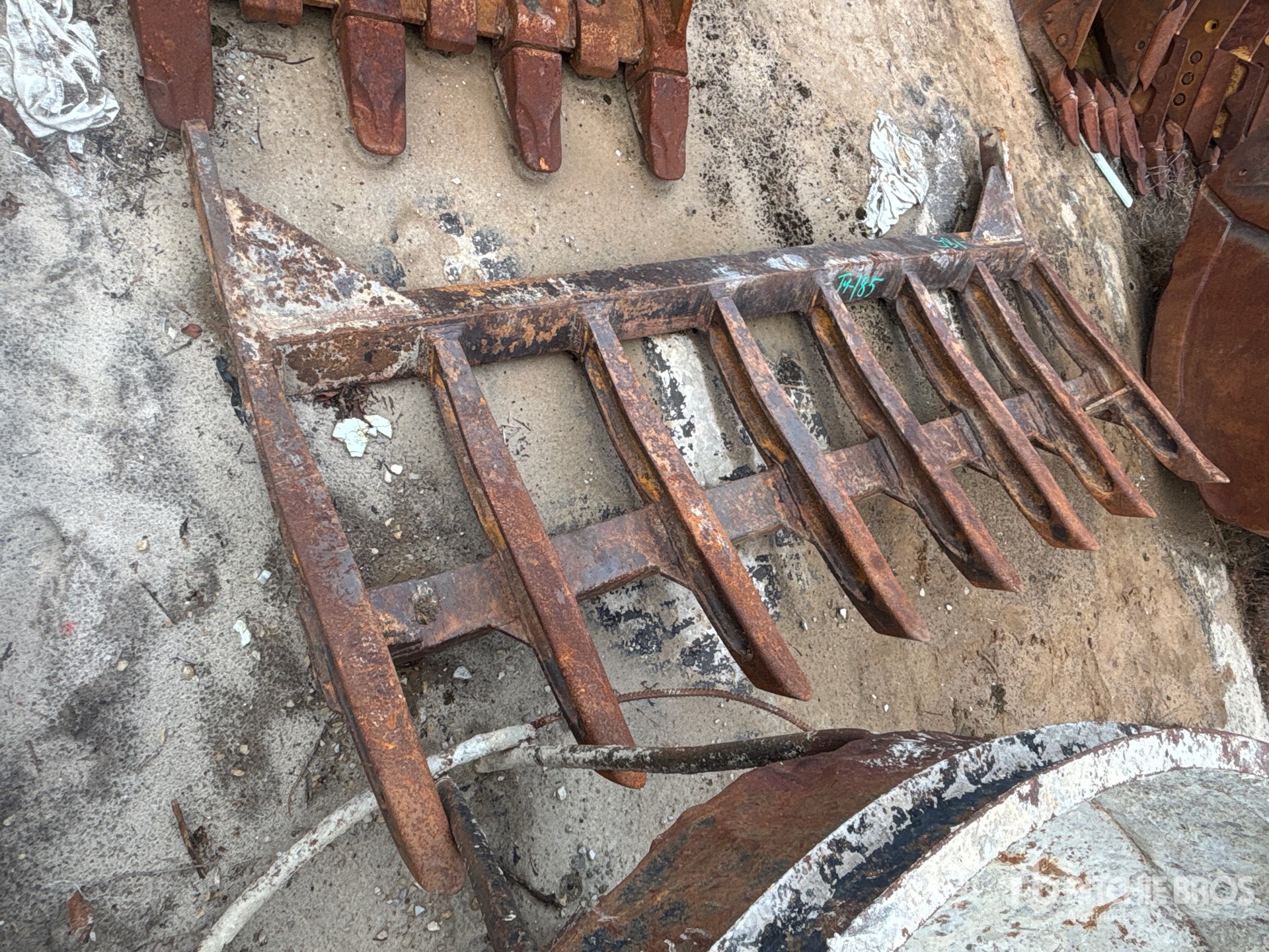 General Appearance with Zdjęcie, prawy górny róg