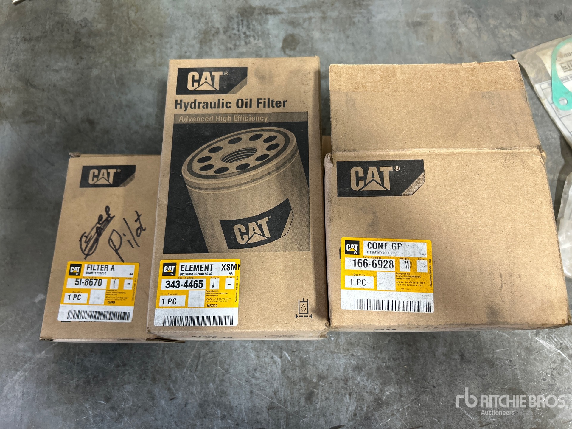 General Appearance with