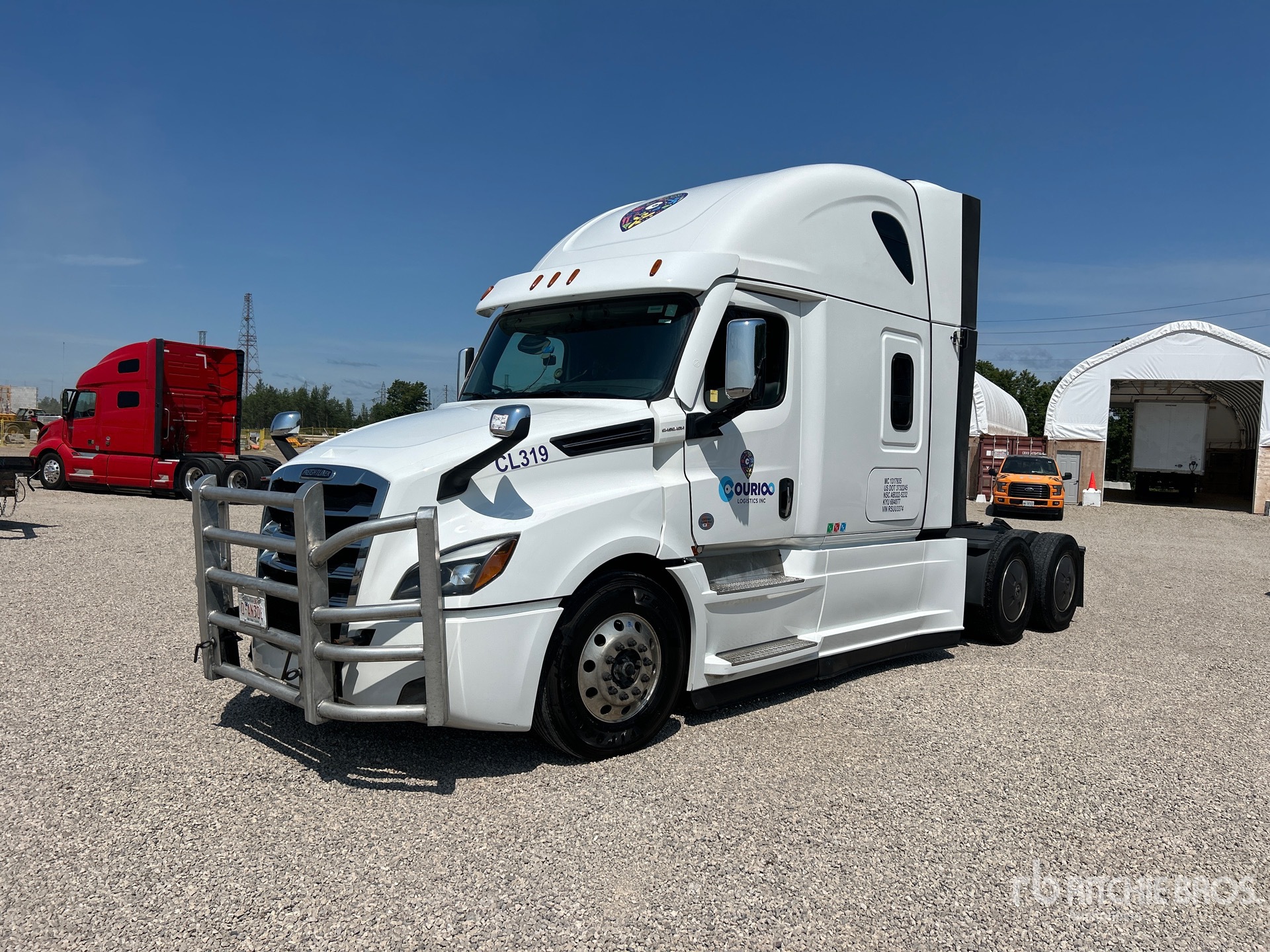 General Appearance with Spin