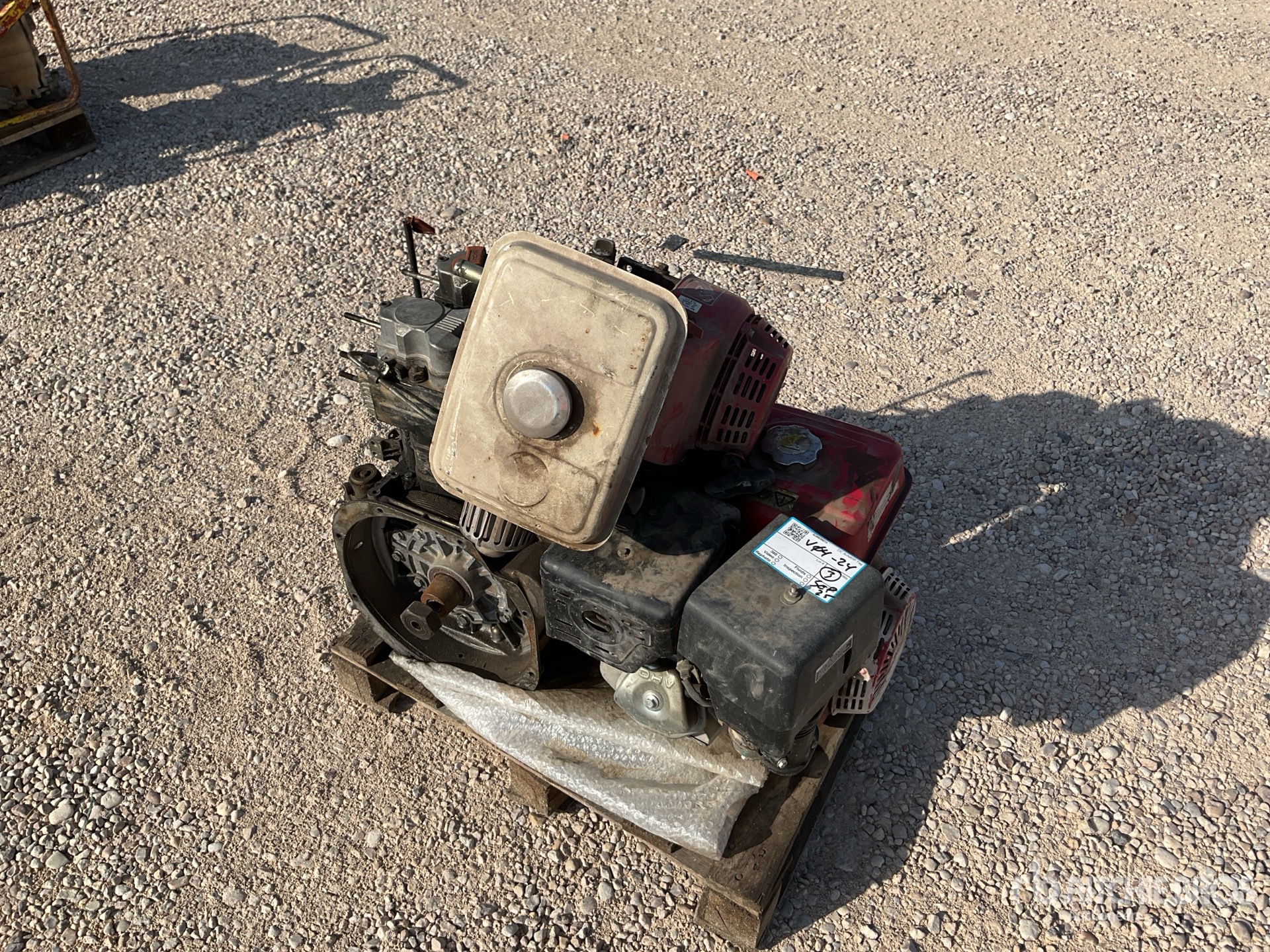 General Appearance with 