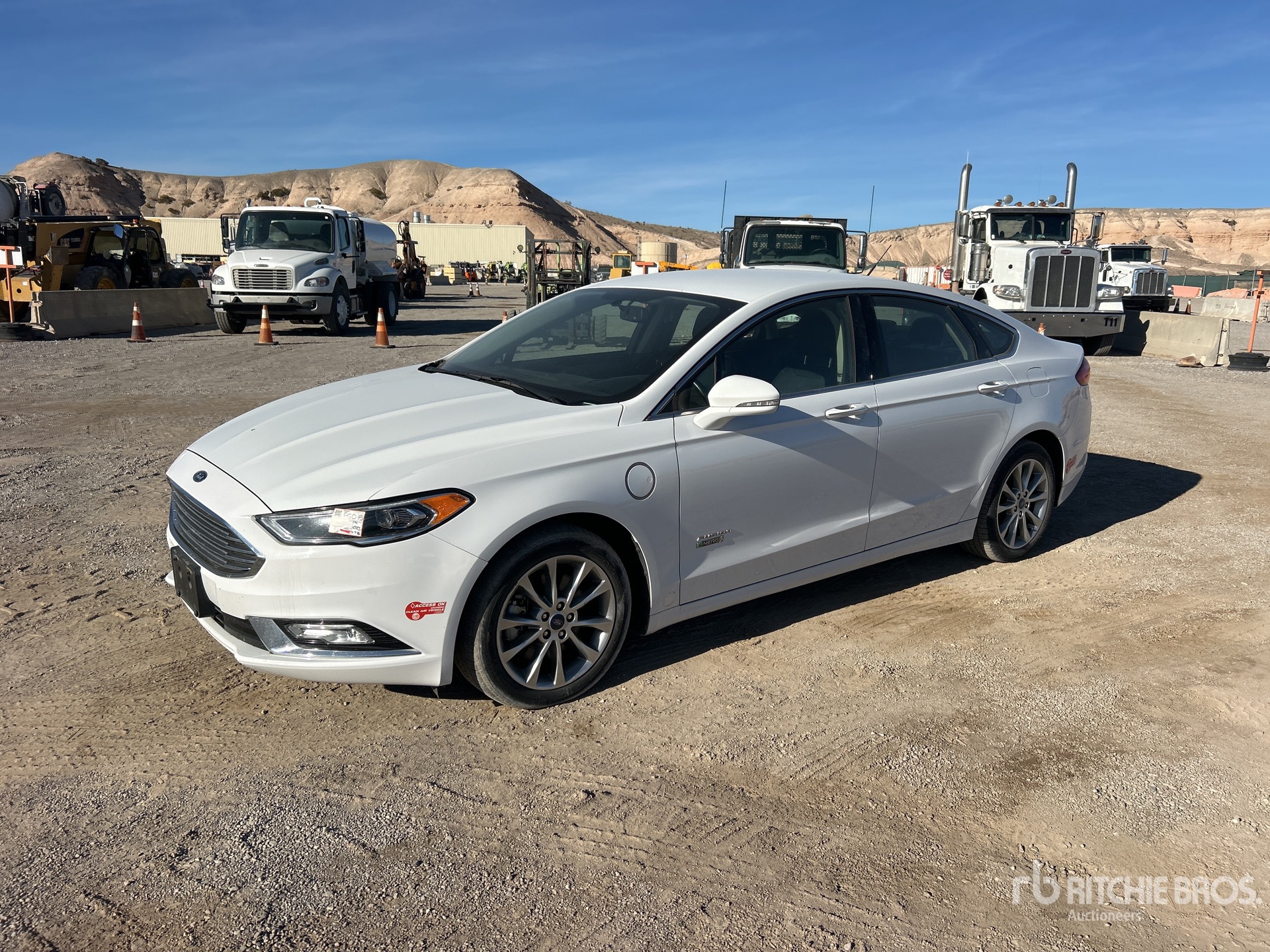 General Appearance with Spin