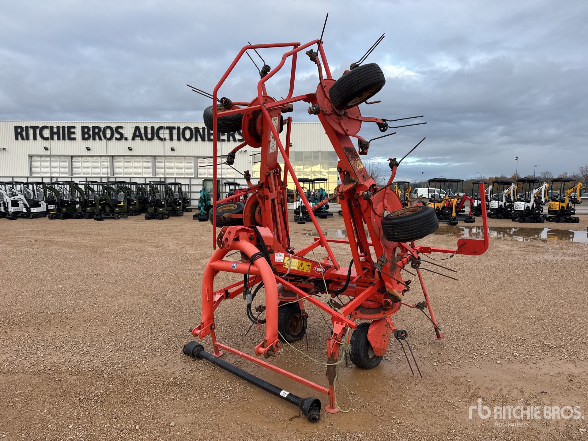 General Appearance with 