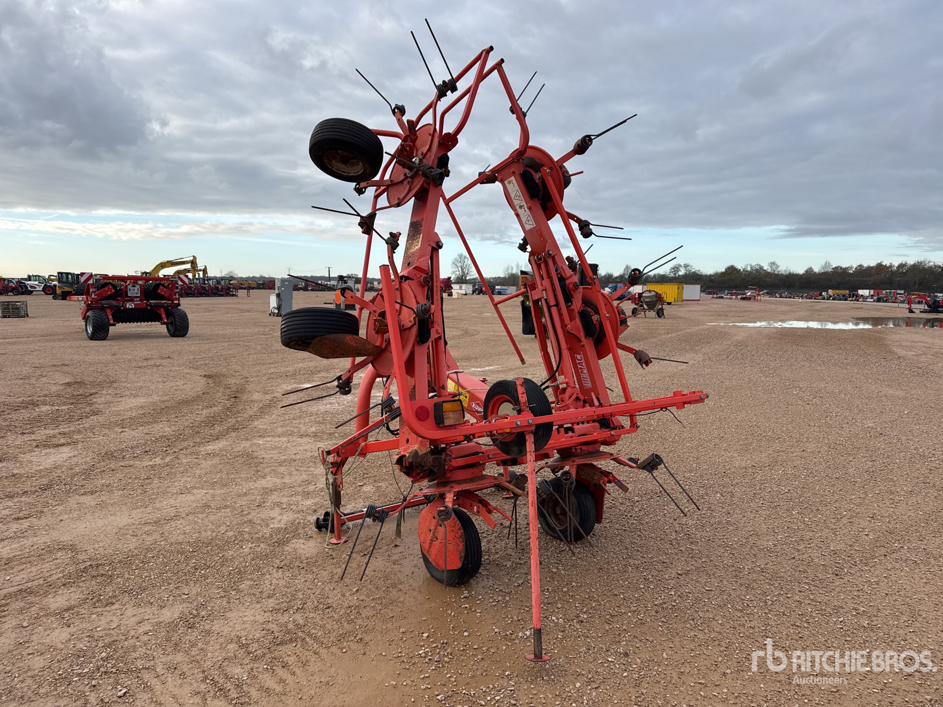 General Appearance with 