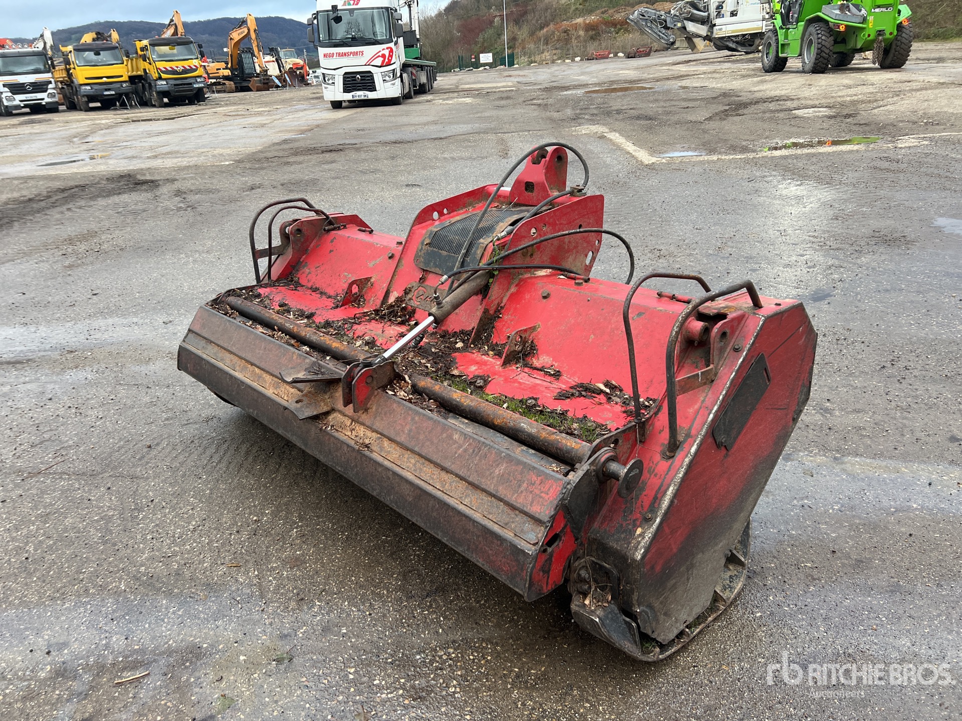 General Appearance with 