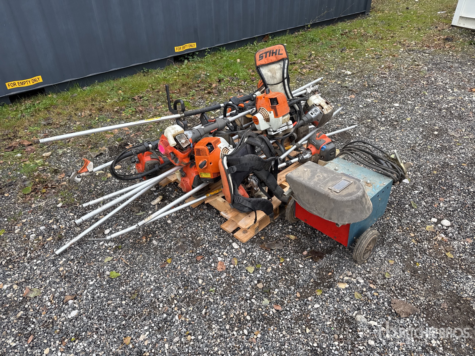 General Appearance with 