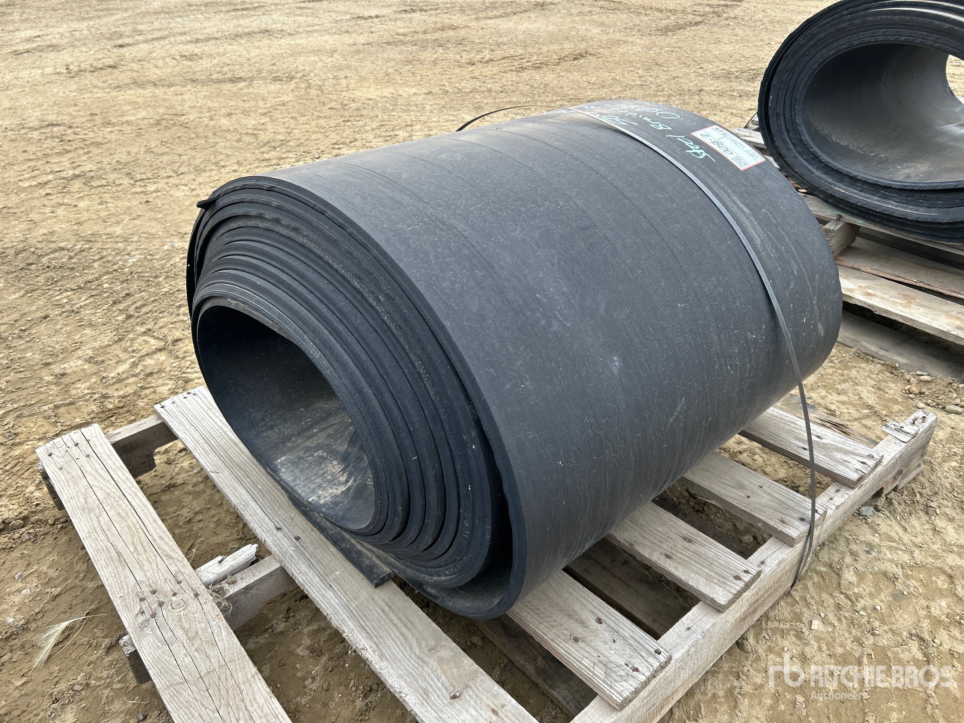 General Appearance with Image, coin arrière droit