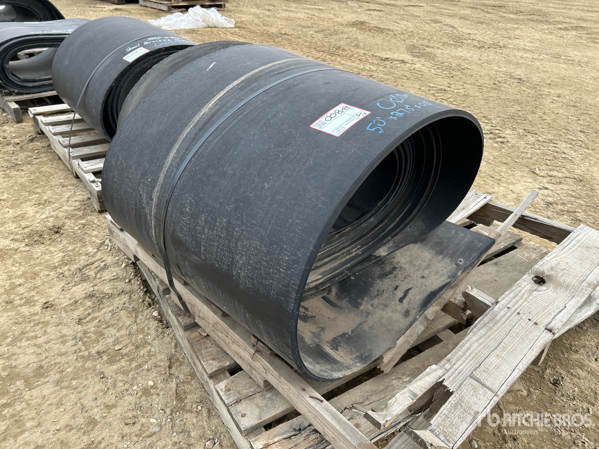 General Appearance with Image, coin avant droit