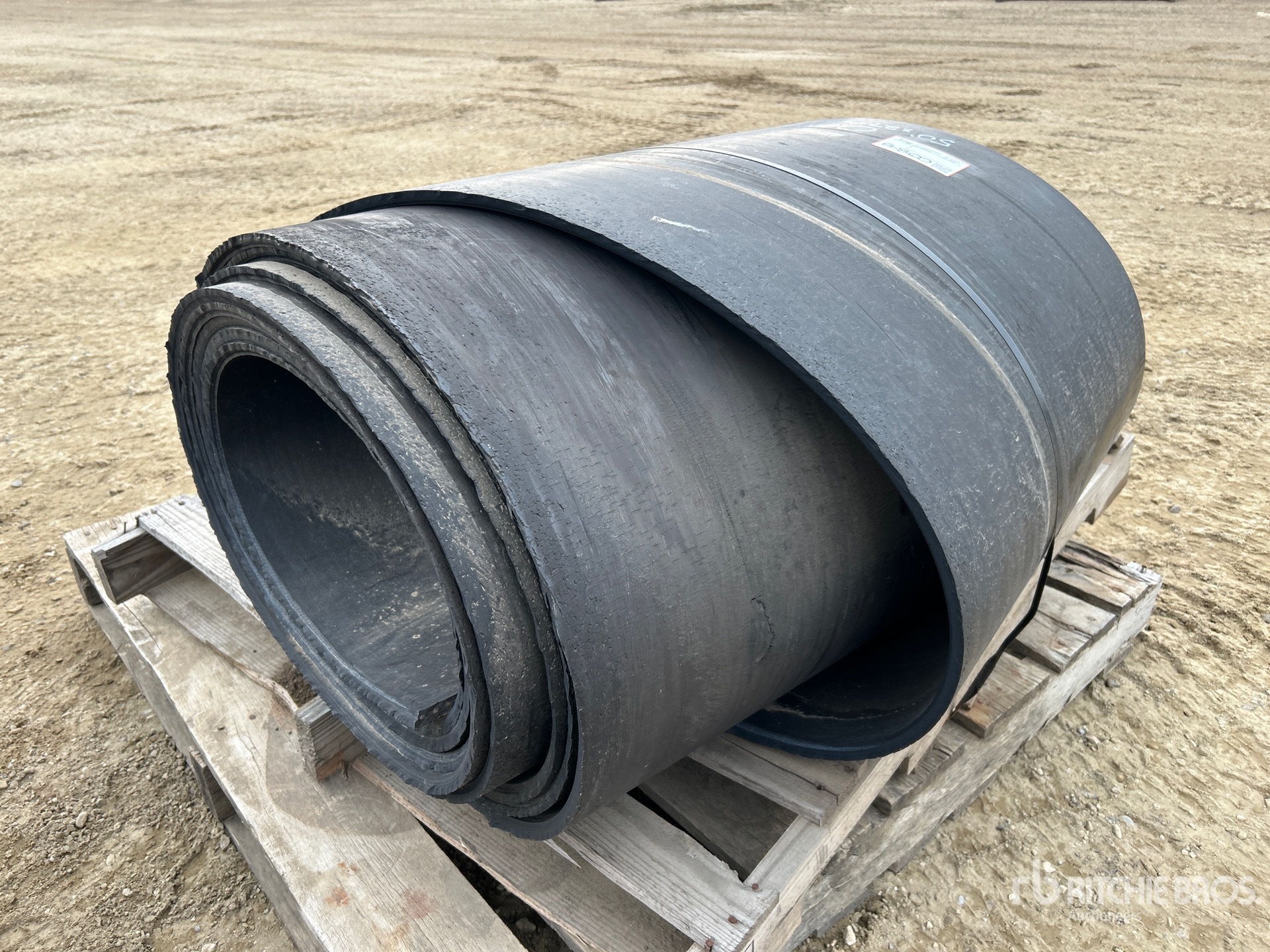 General Appearance with Image, coin arrière droit