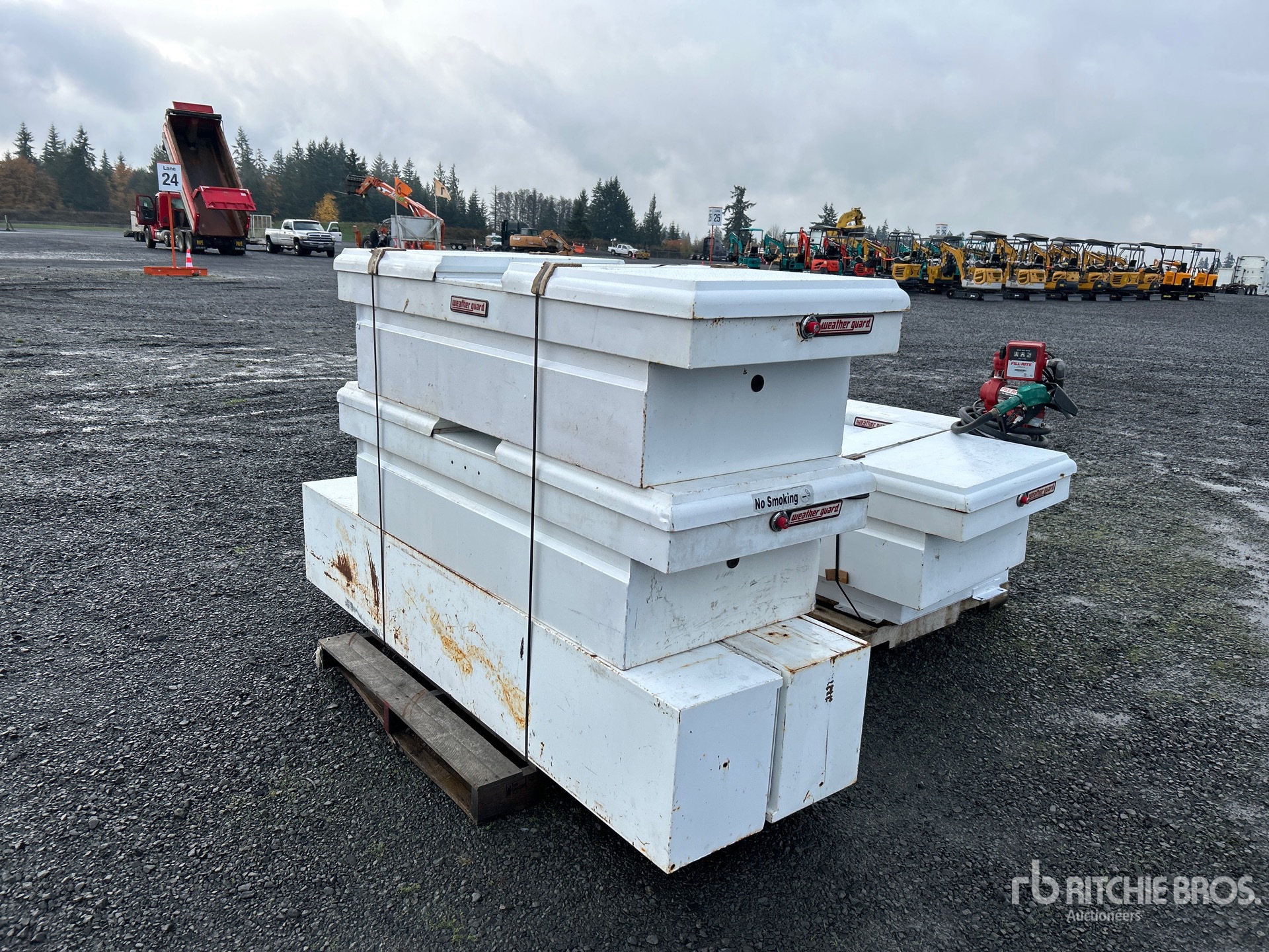 General Appearance with Zdjęcie, lewy górny róg