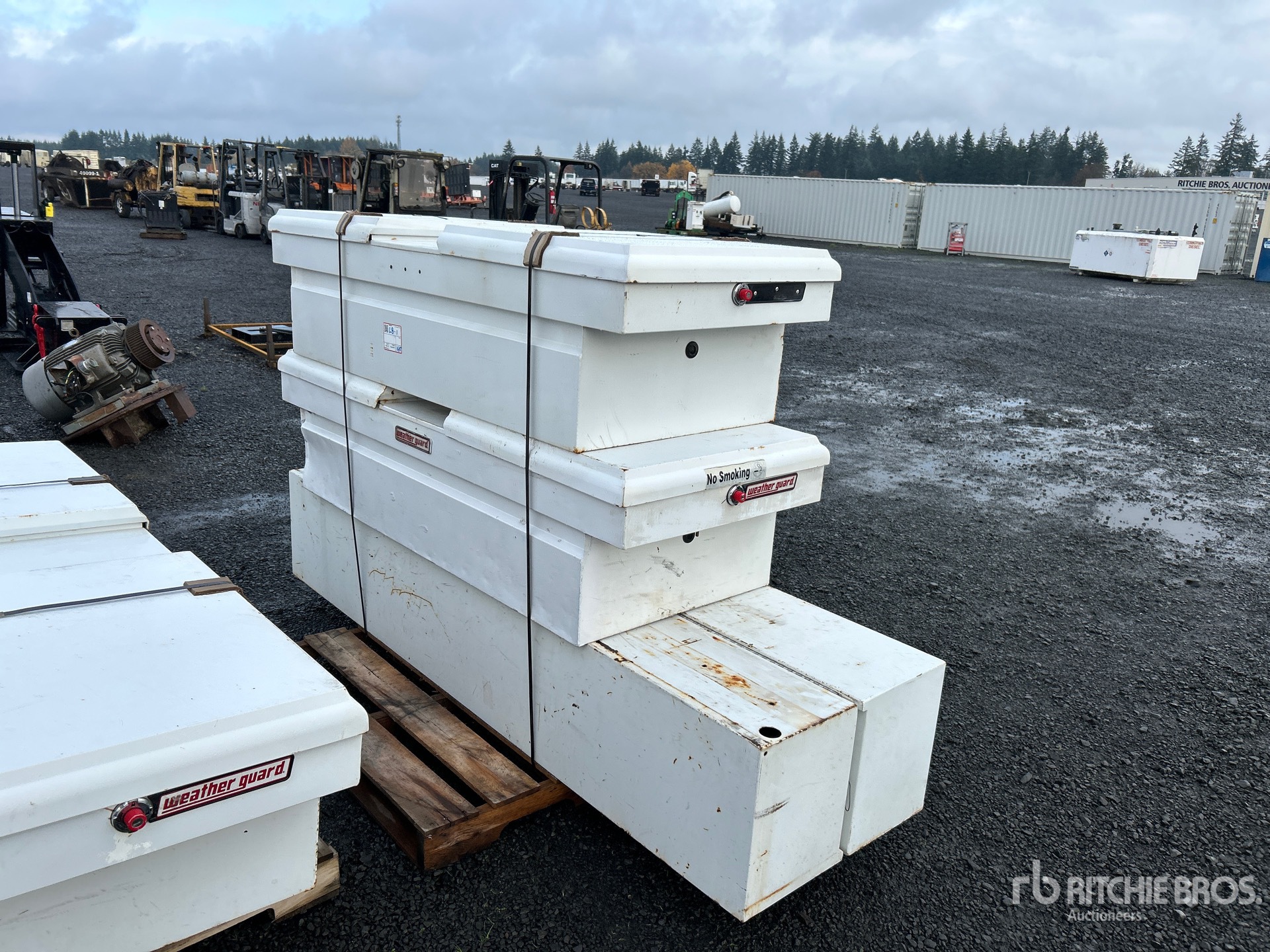 General Appearance with Zdjęcie, prawy dolny róg