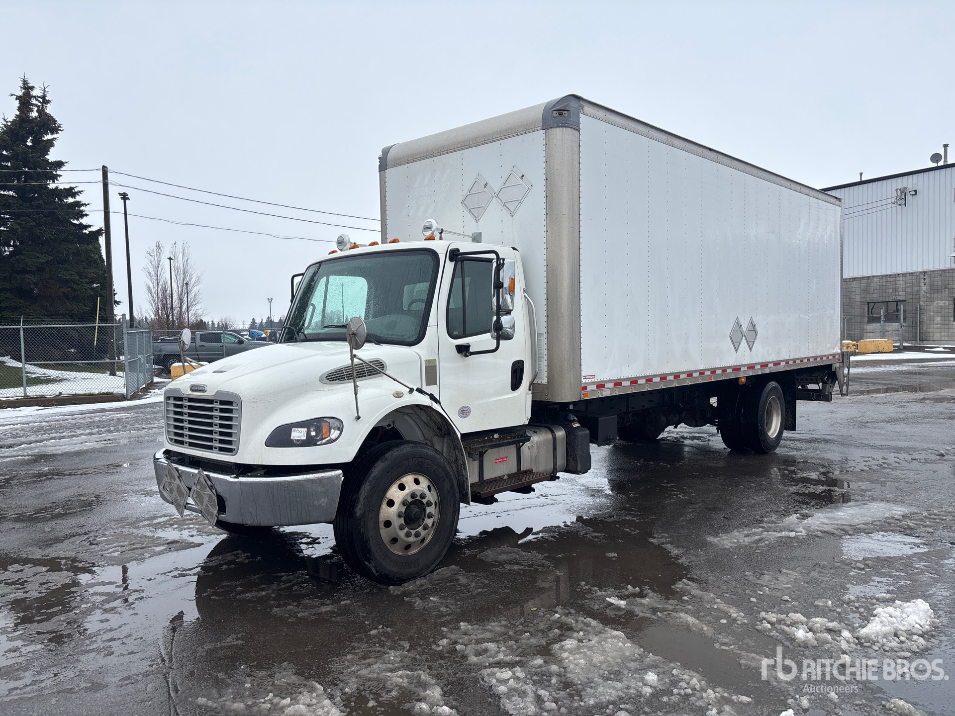 General Appearance with Spin