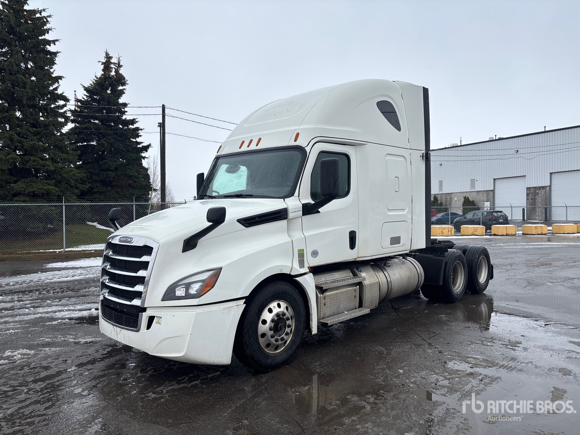 General Appearance with Spin