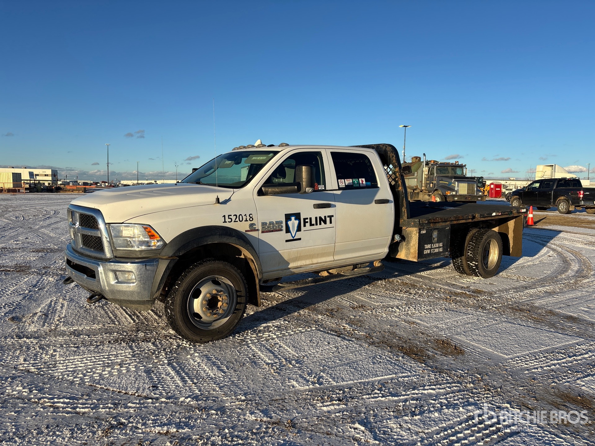 General Appearance with Spin