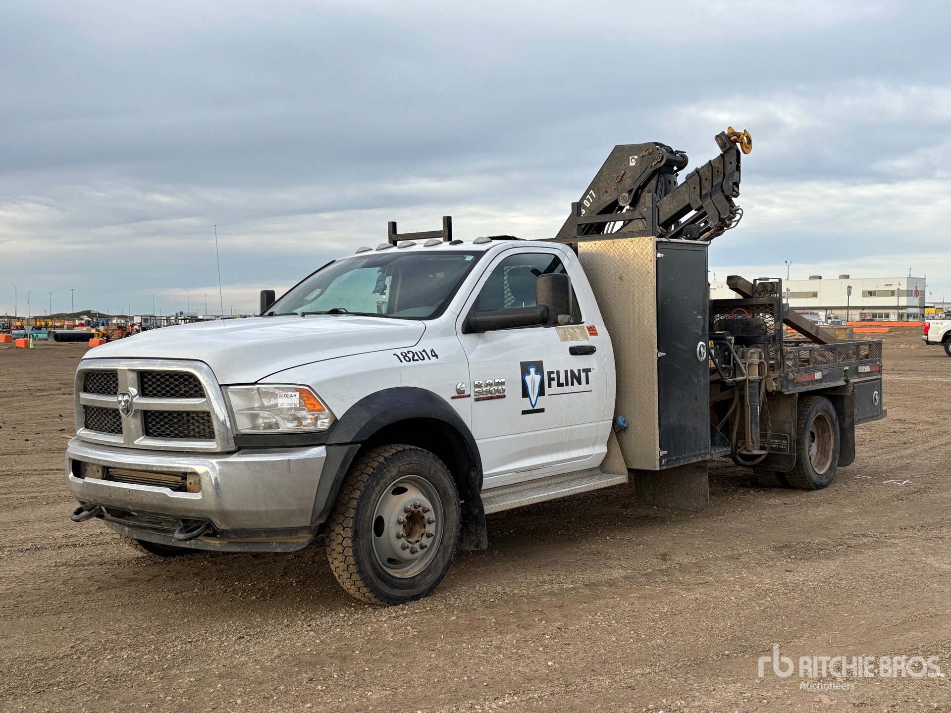 General Appearance with Spin