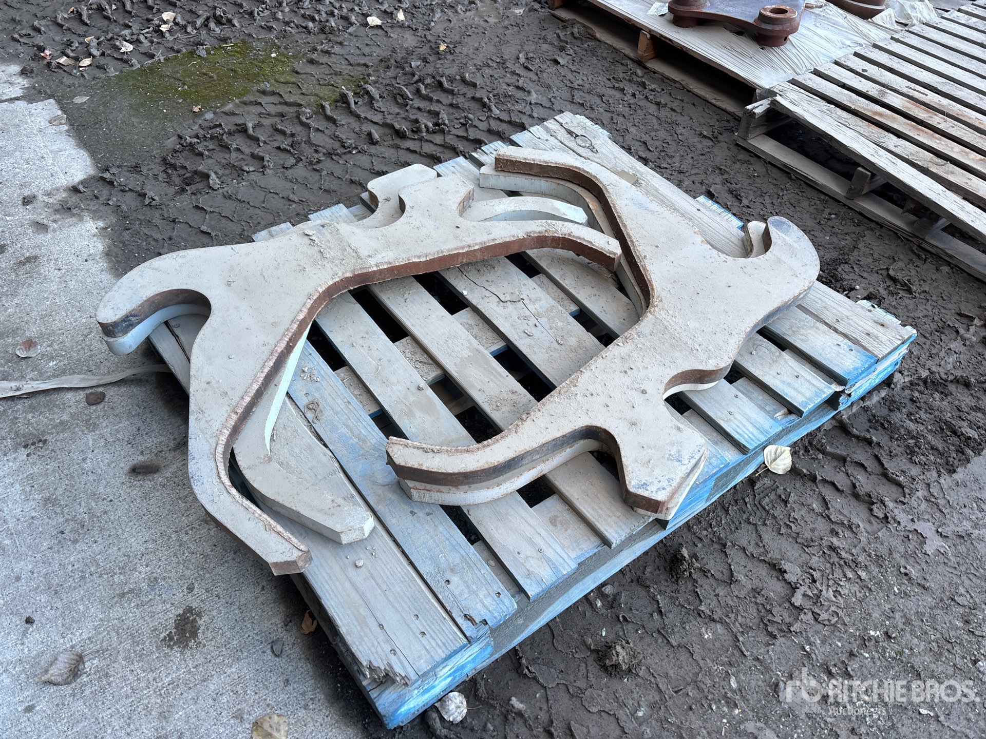 General Appearance with Foto, angolo anteriore sinistro