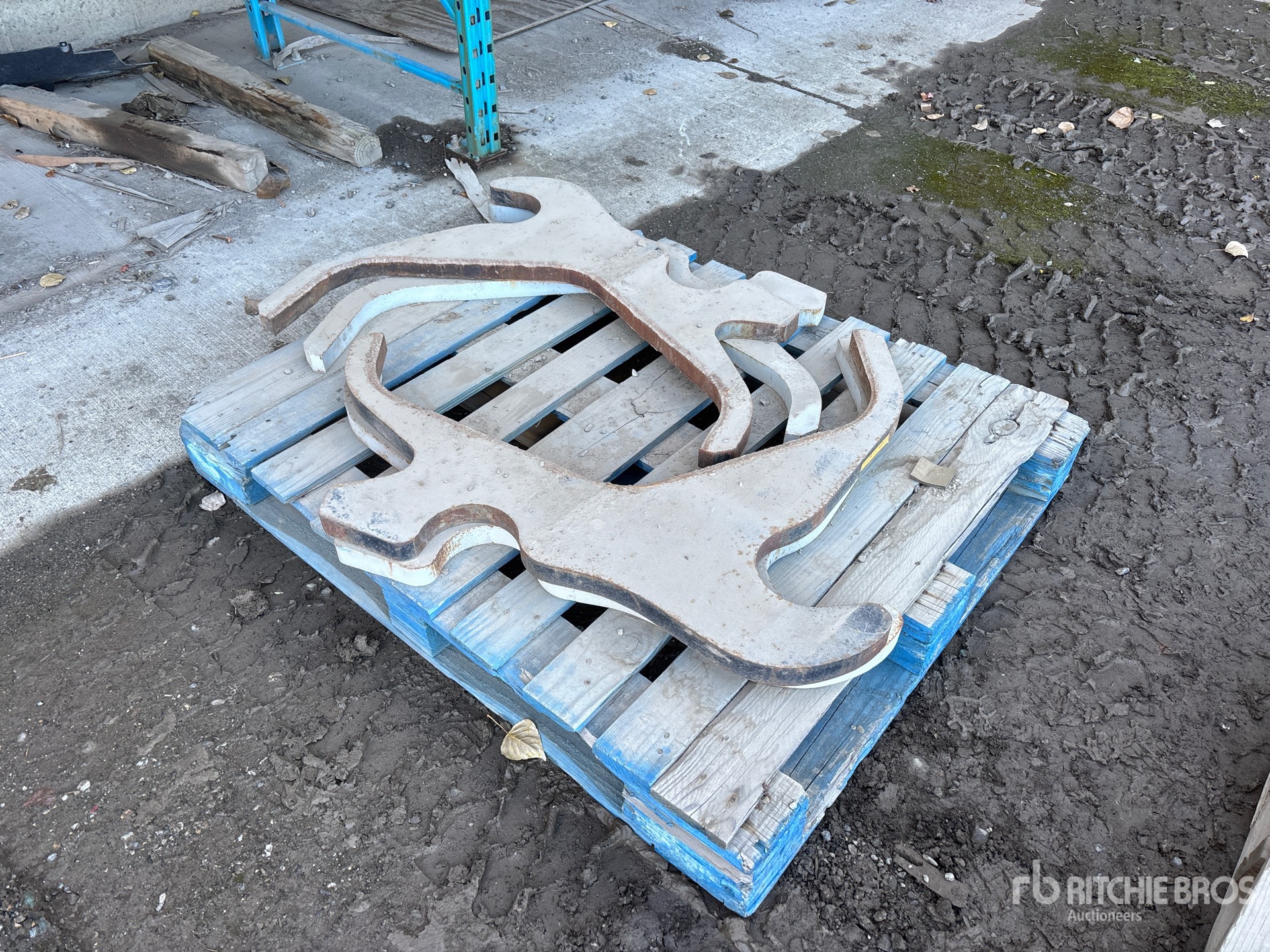 General Appearance with Foto, angolo anteriore destro