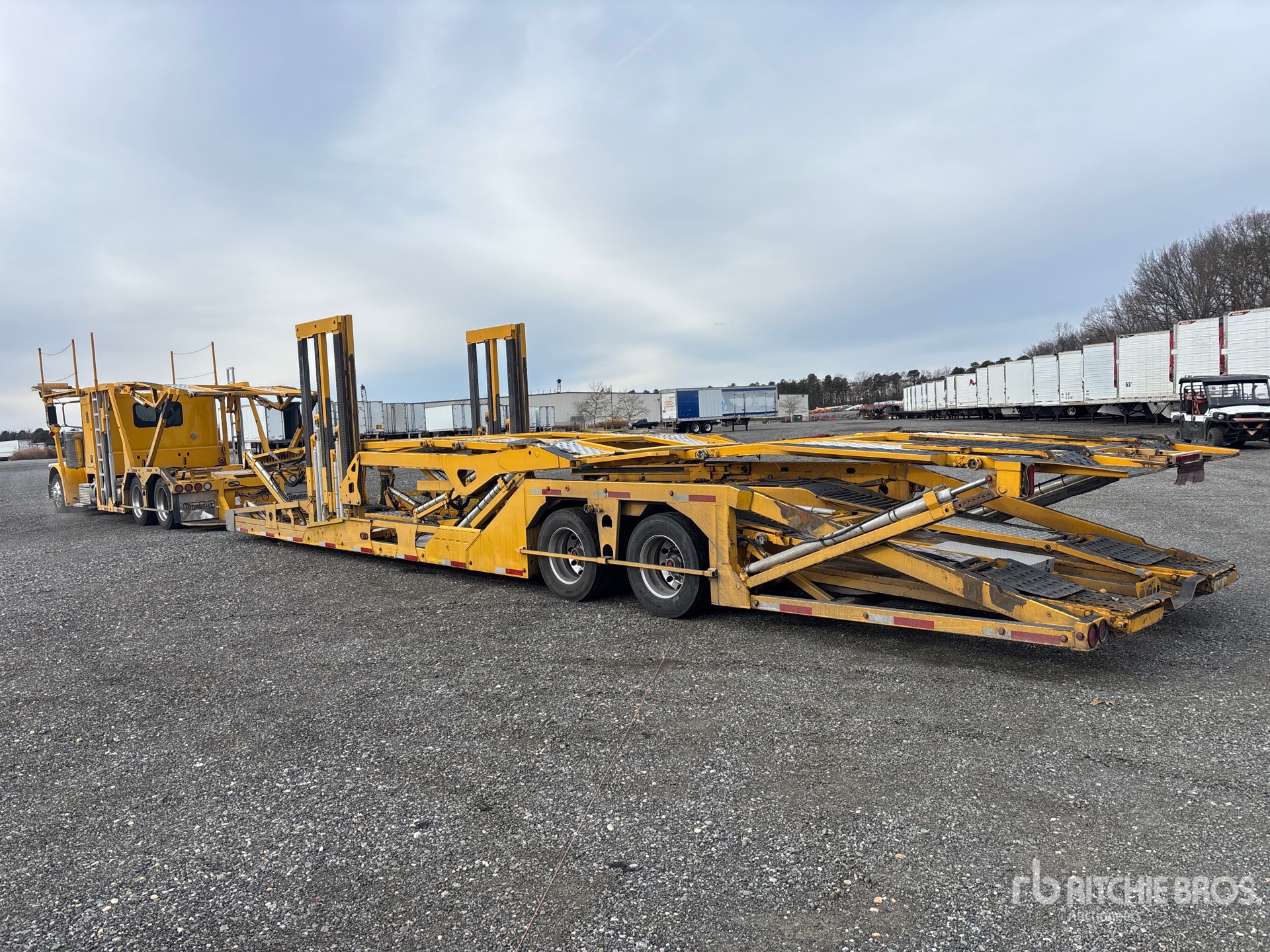 General Appearance with Zdjęcie, lewy dolny róg